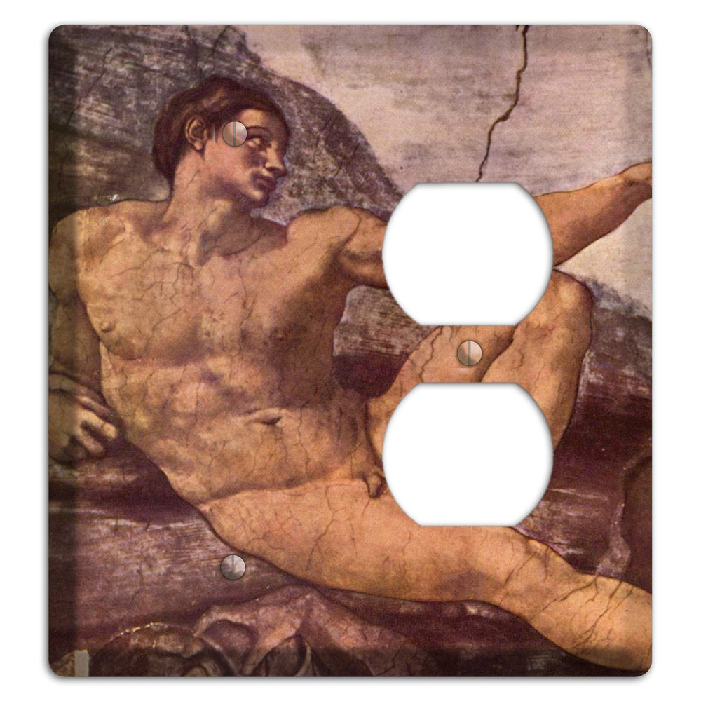 Michelangelo 2 Blank / Duplex Wallplate