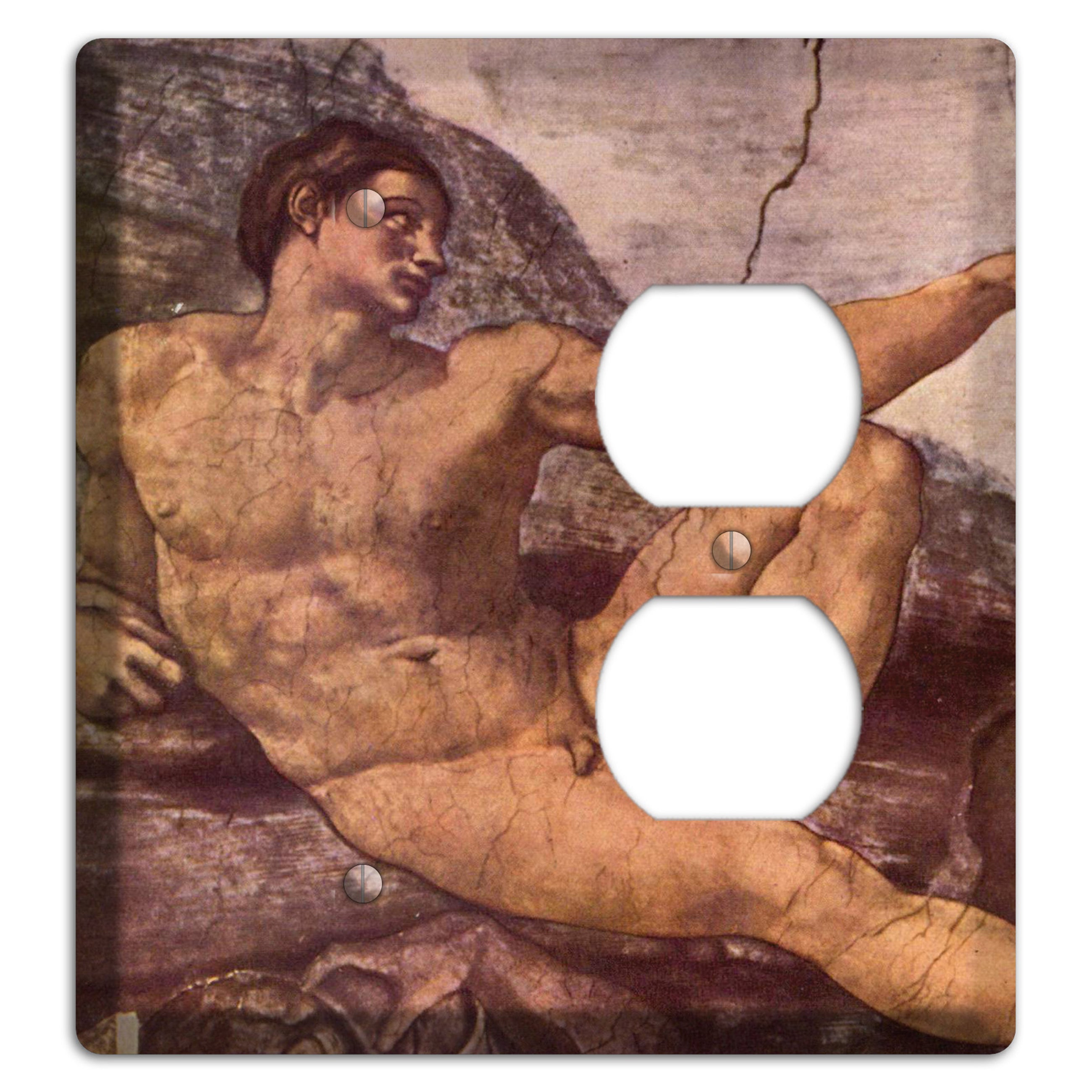 Michelangelo 2 Blank / Duplex Wallplate
