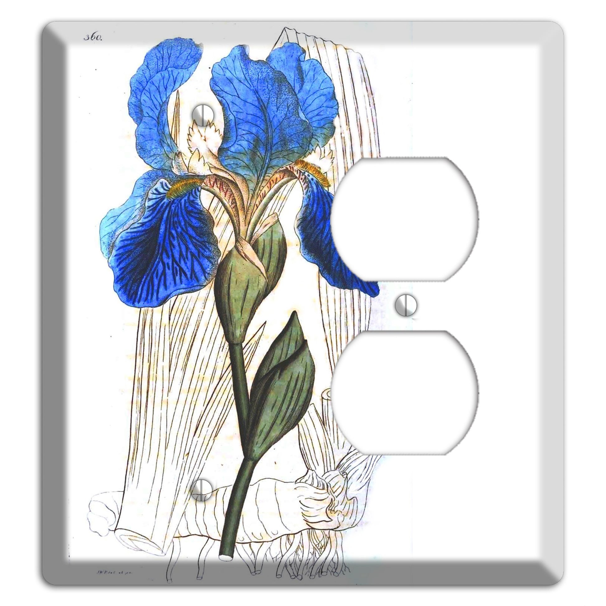 Blue Iris Blank / Duplex Wallplate