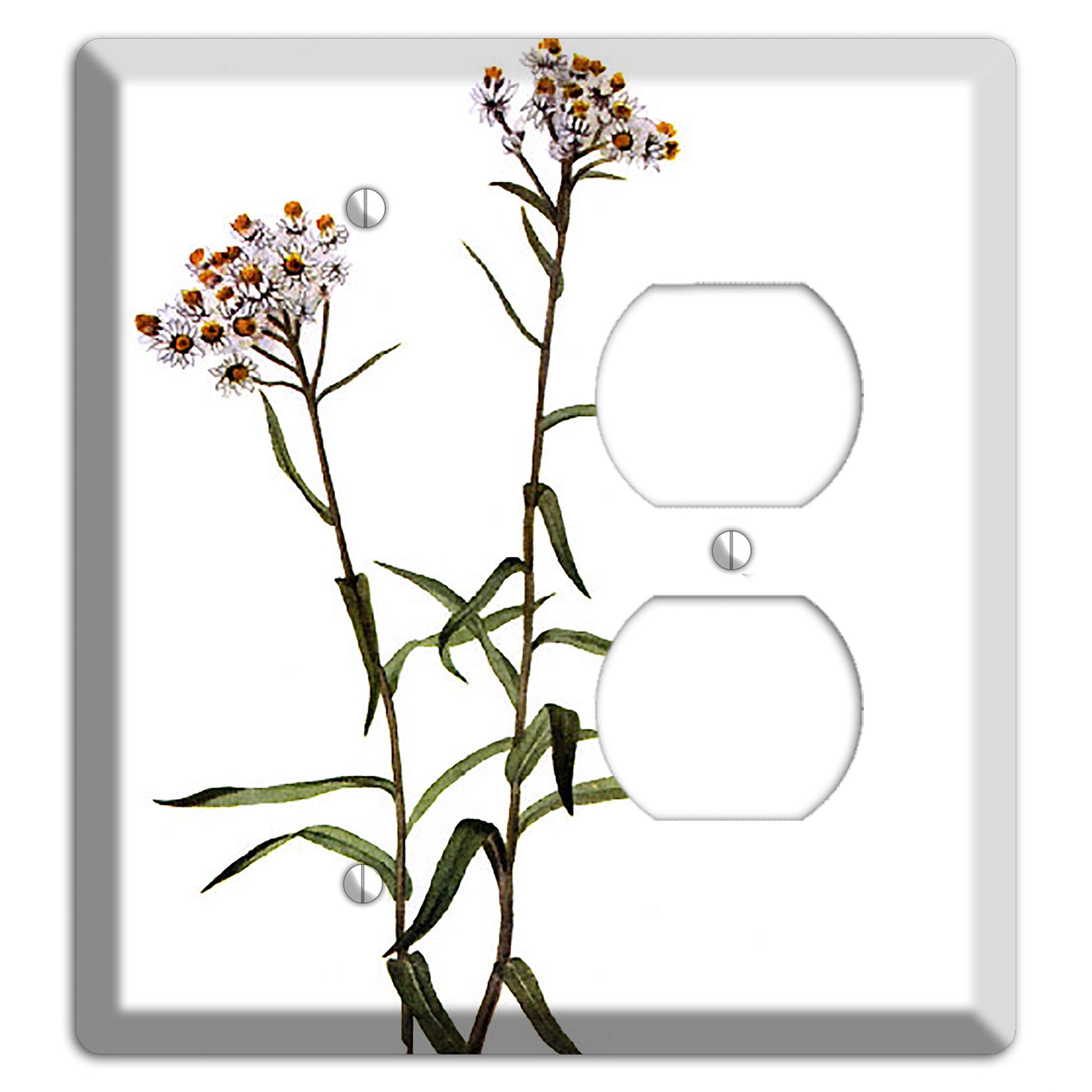 Anaphalis Margoritacea Blank / Duplex Wallplate