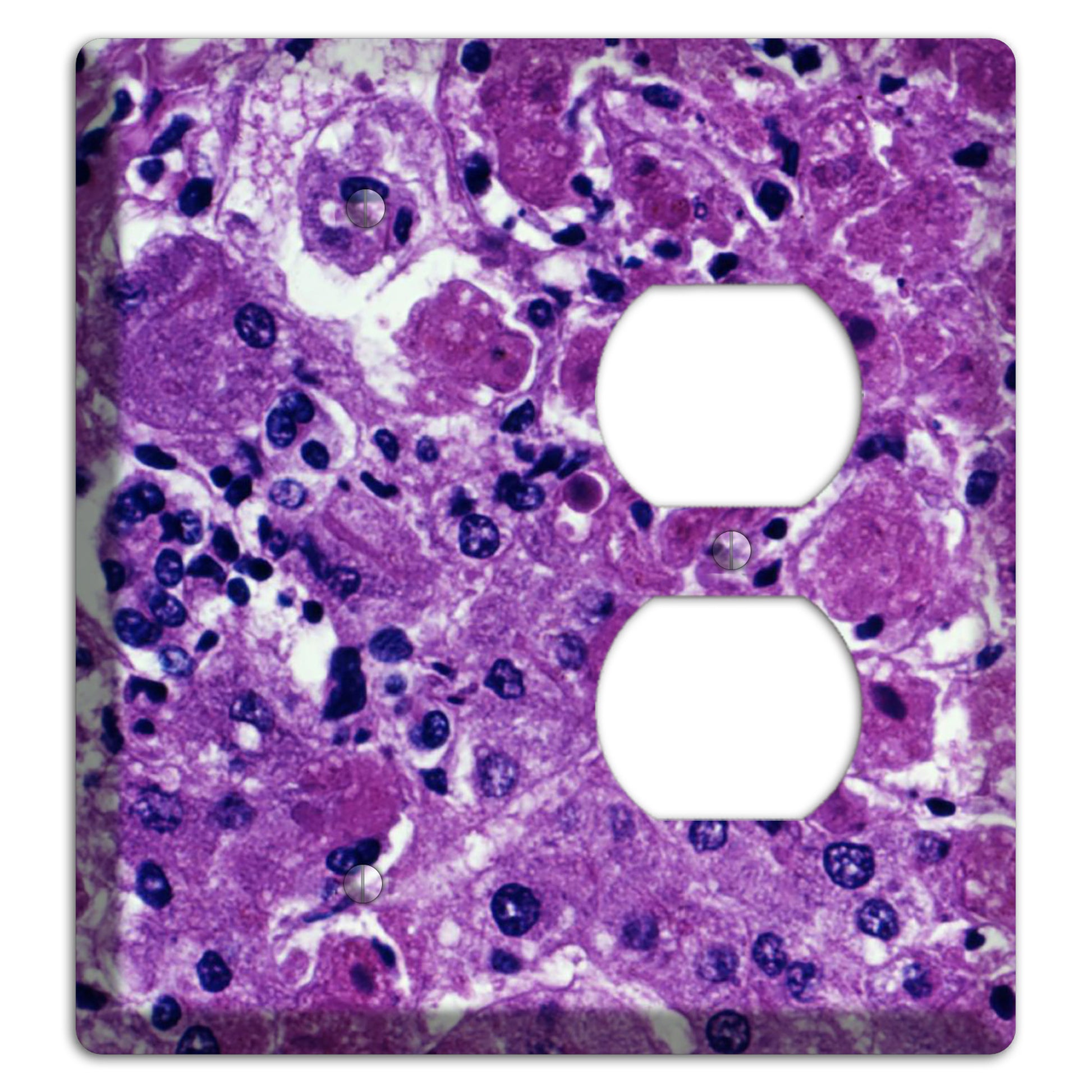 Marburg Blank / Duplex Wallplate