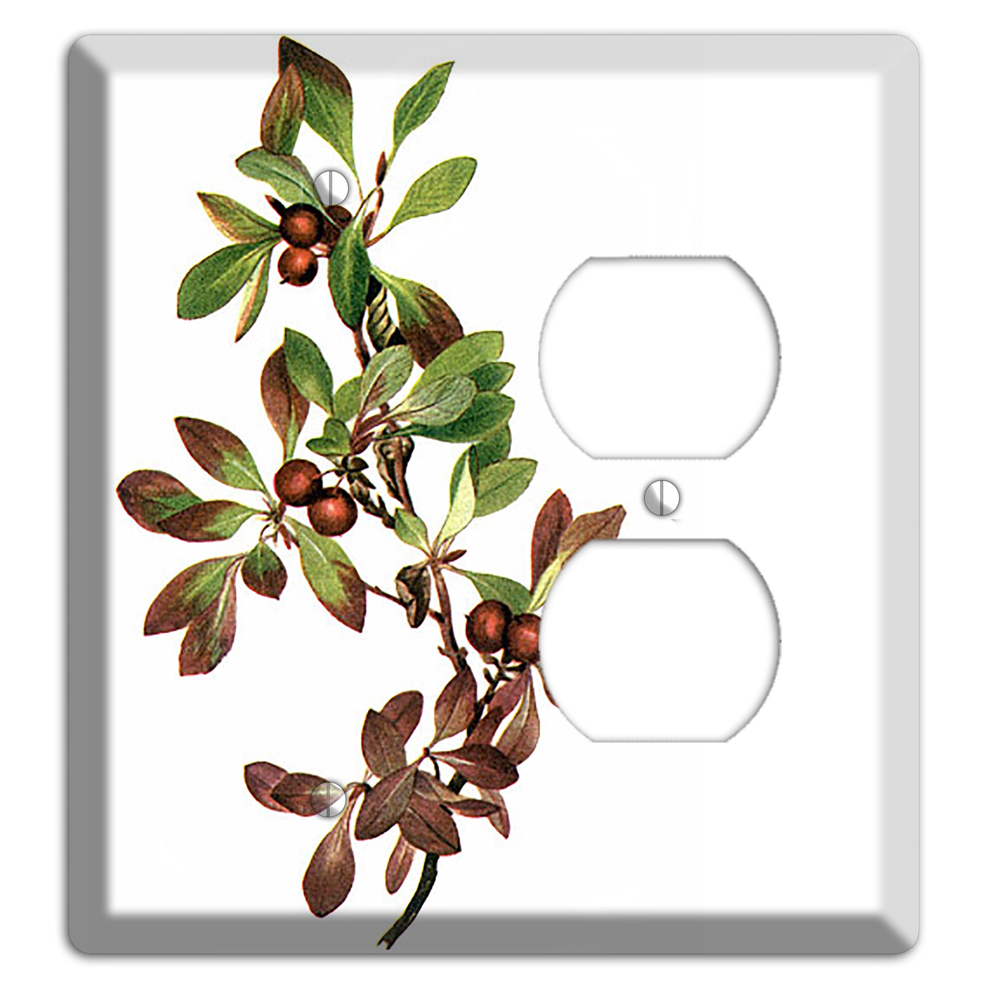 Arietustaphylos Alpha Blank / Duplex Wallplate