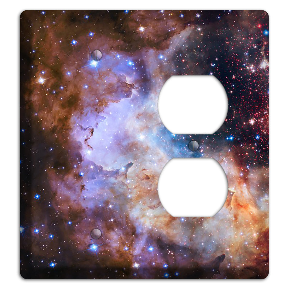 Westerlund 2 Blank / Duplex Wallplate