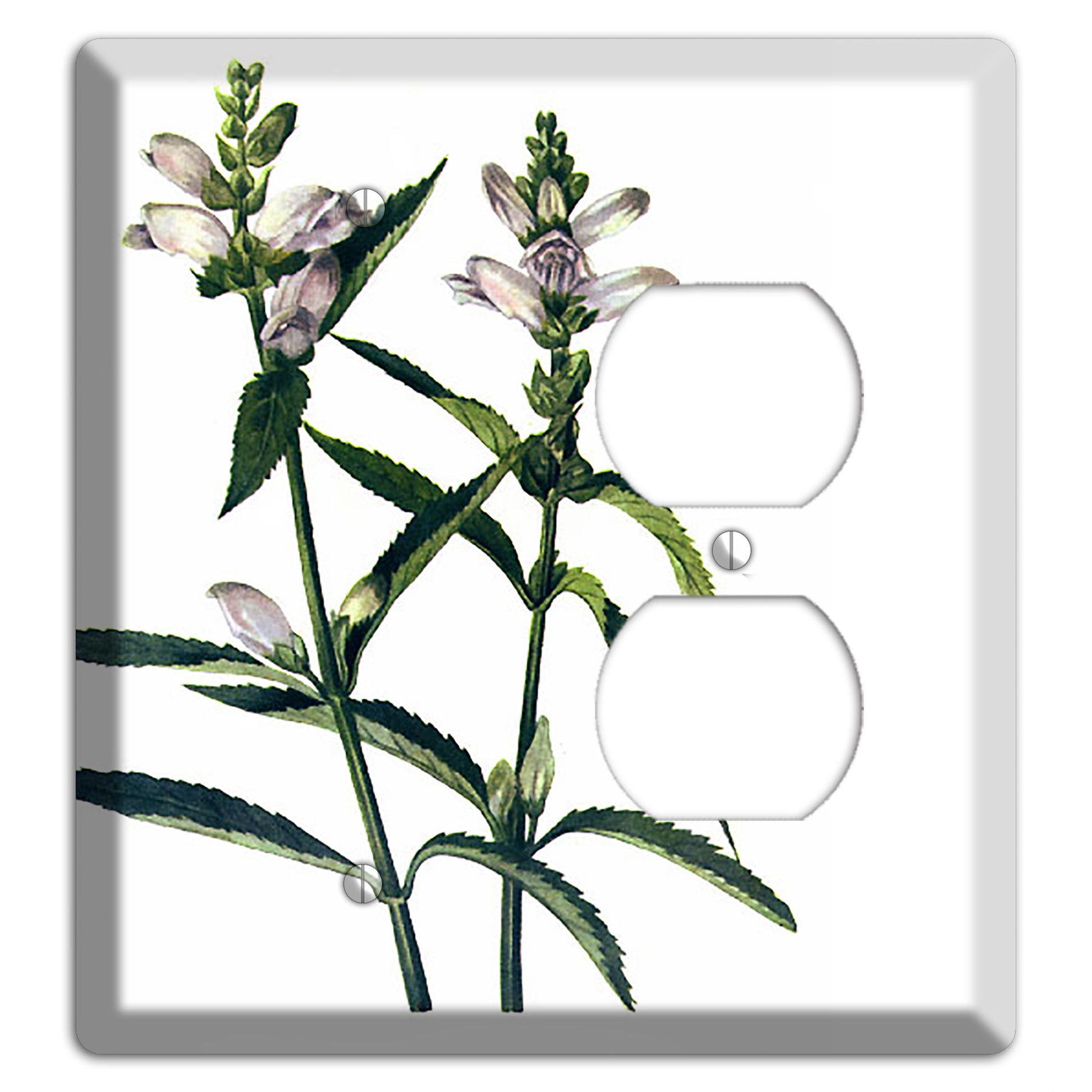 Chelone Glabra Blank / Duplex Wallplate