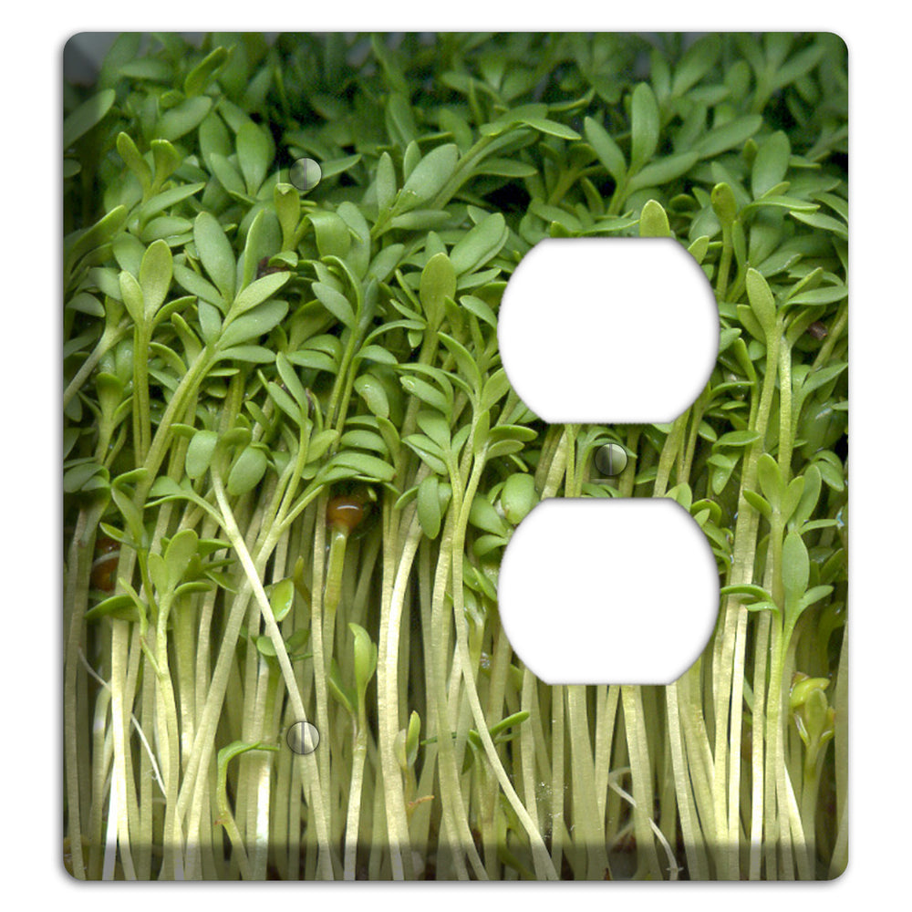 Sprouts Blank / Duplex Wallplate