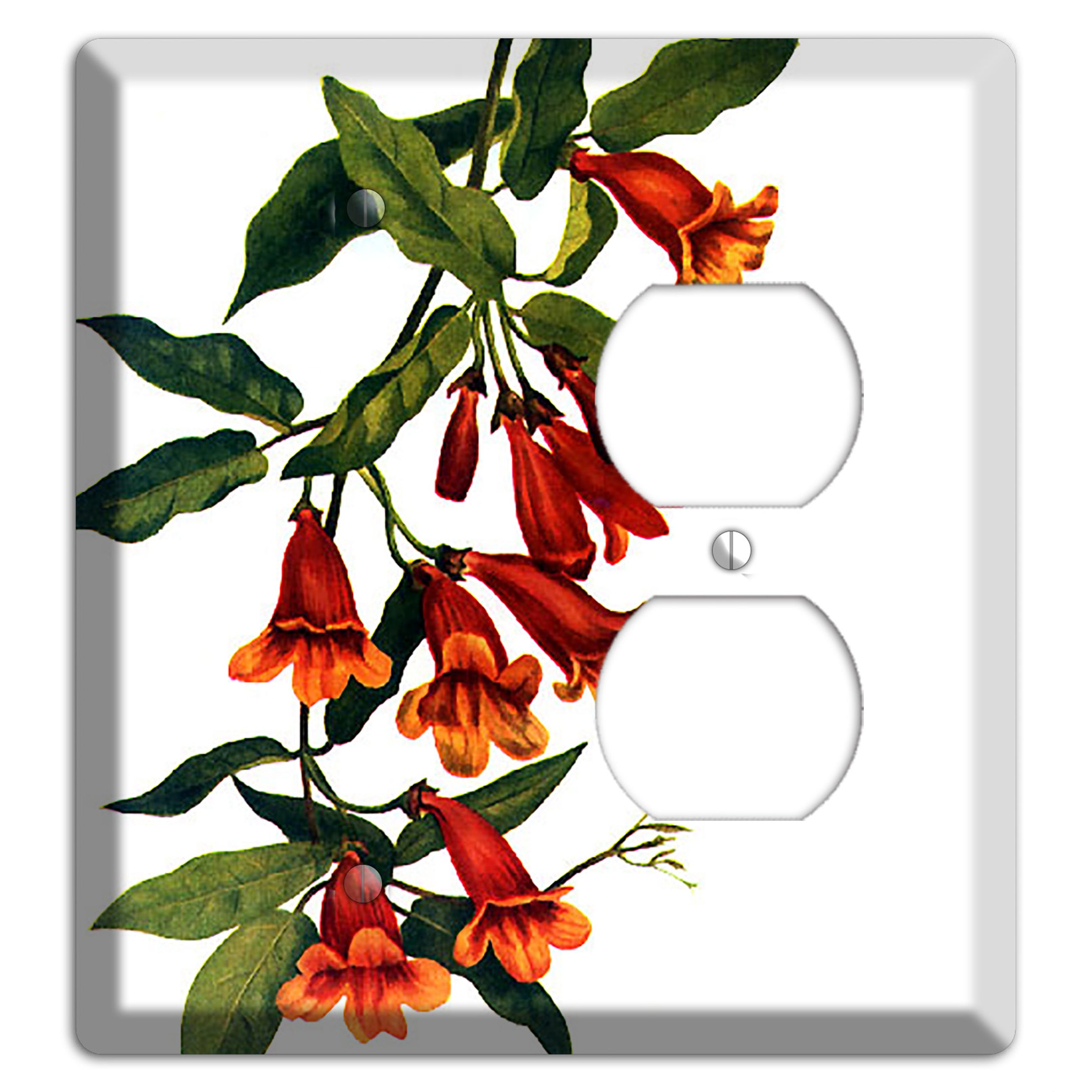 Bigonia Capreolata Blank / Duplex Wallplate