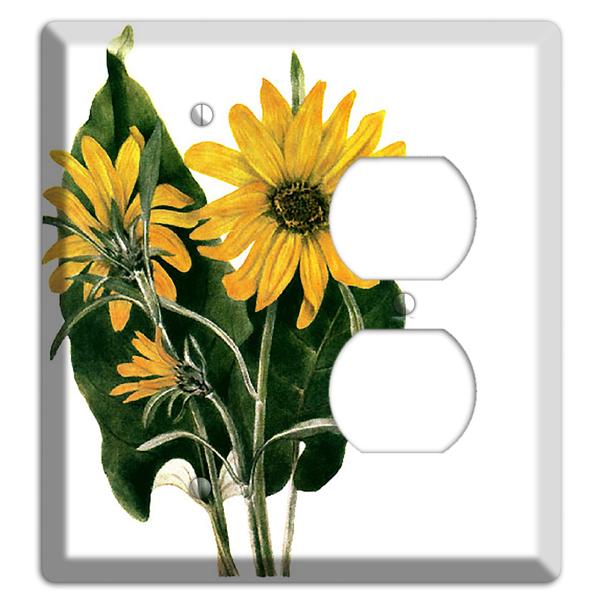 Balsamorhiza Sagittata Blank / Duplex Wallplate