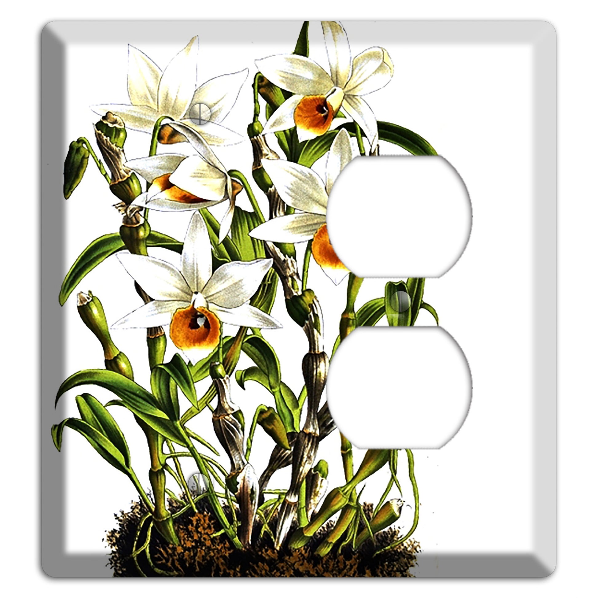Dendrobium Blank / Duplex Wallplate