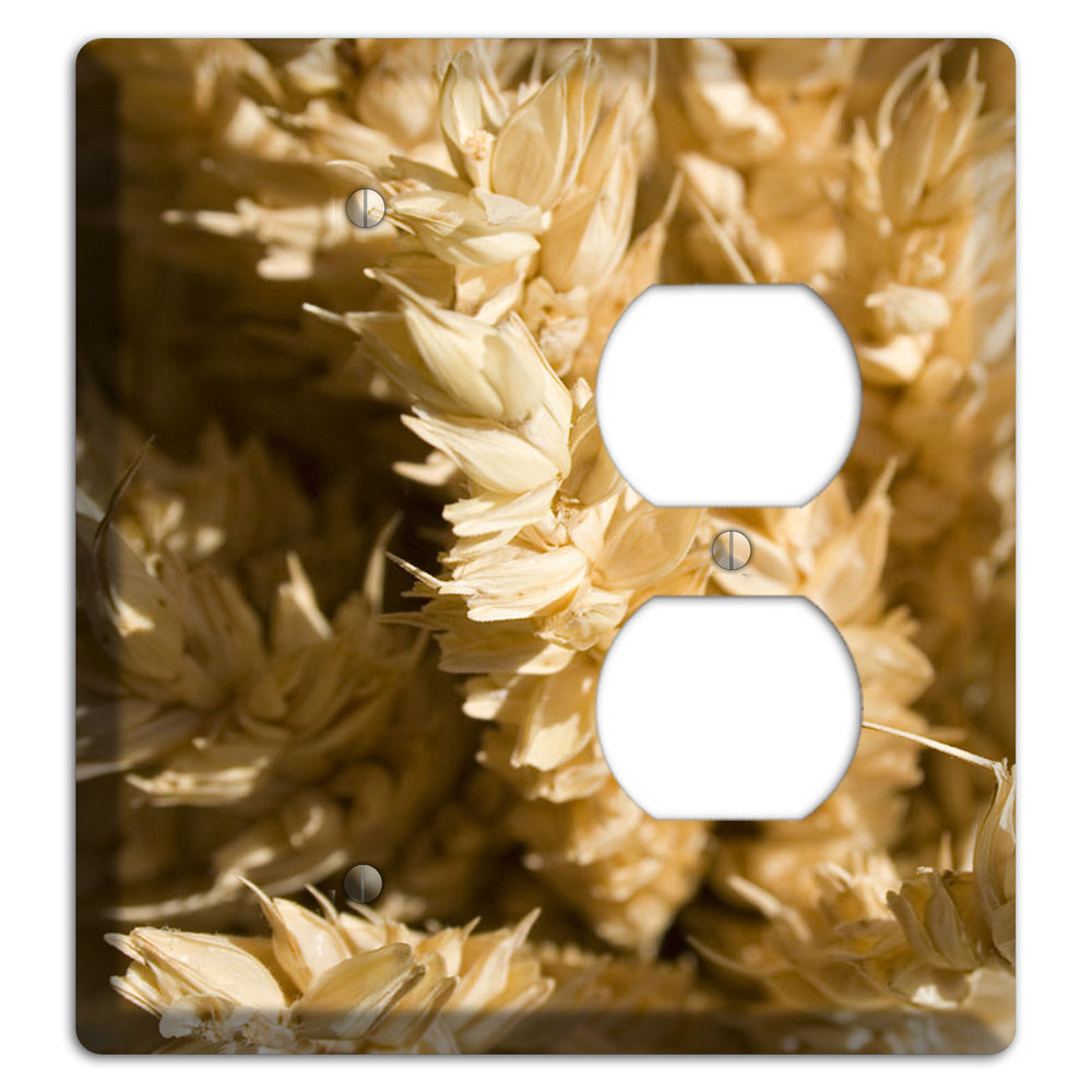 Wheat Blank / Duplex Wallplate