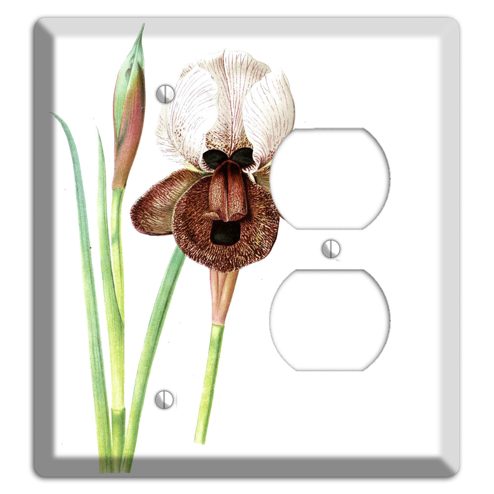 White iris Blank / Duplex Wallplate