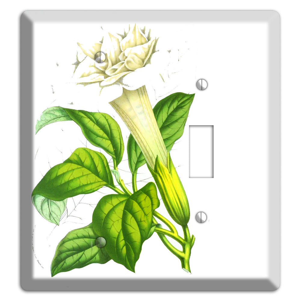 Datura Fastuosa Blank / Toggle Wallplate