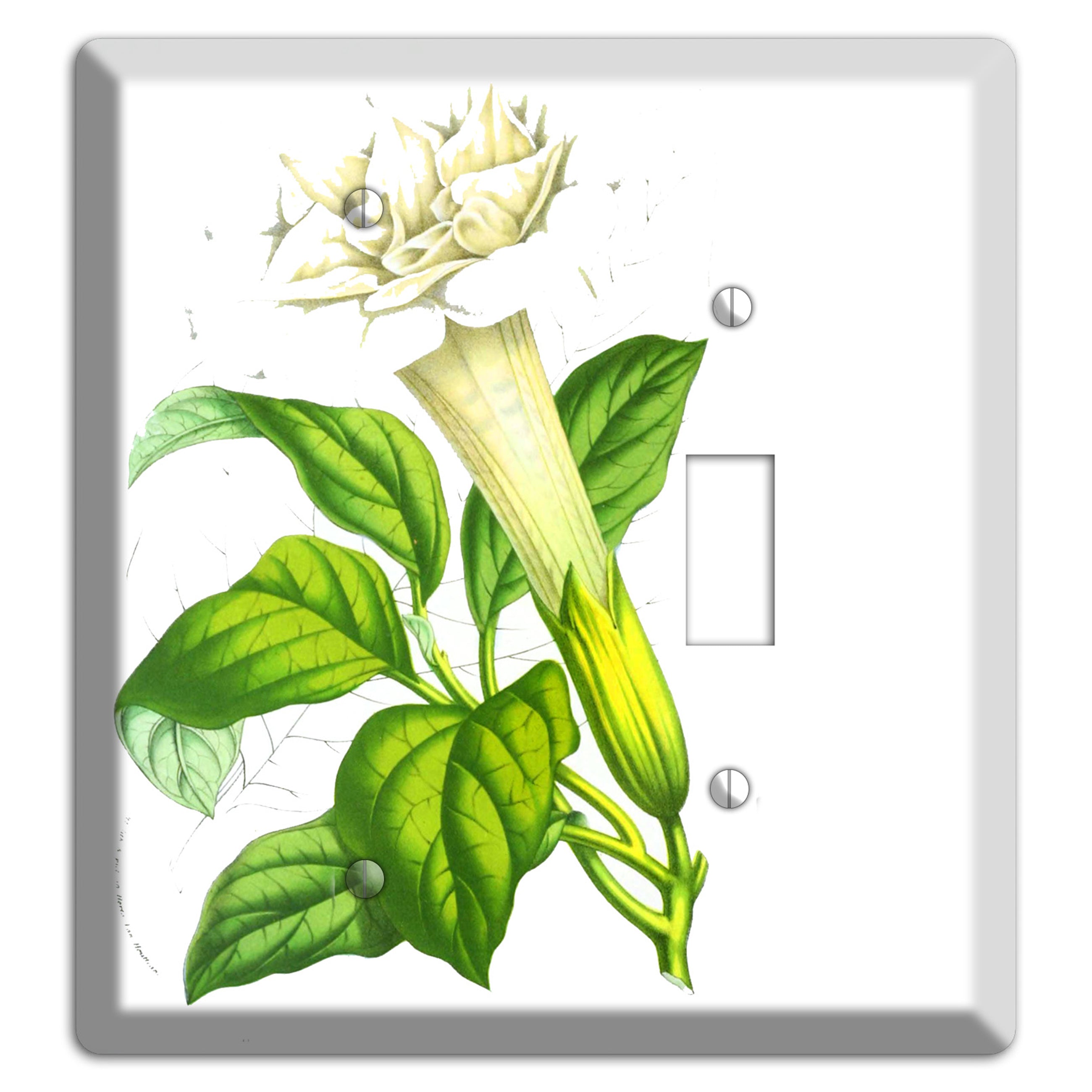 Datura Fastuosa Blank / Toggle Wallplate