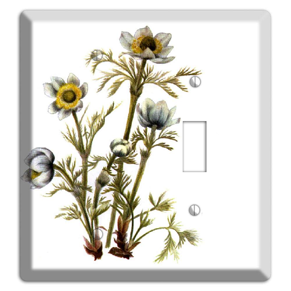 Aenmone Occitentalis Blank / Toggle Wallplate