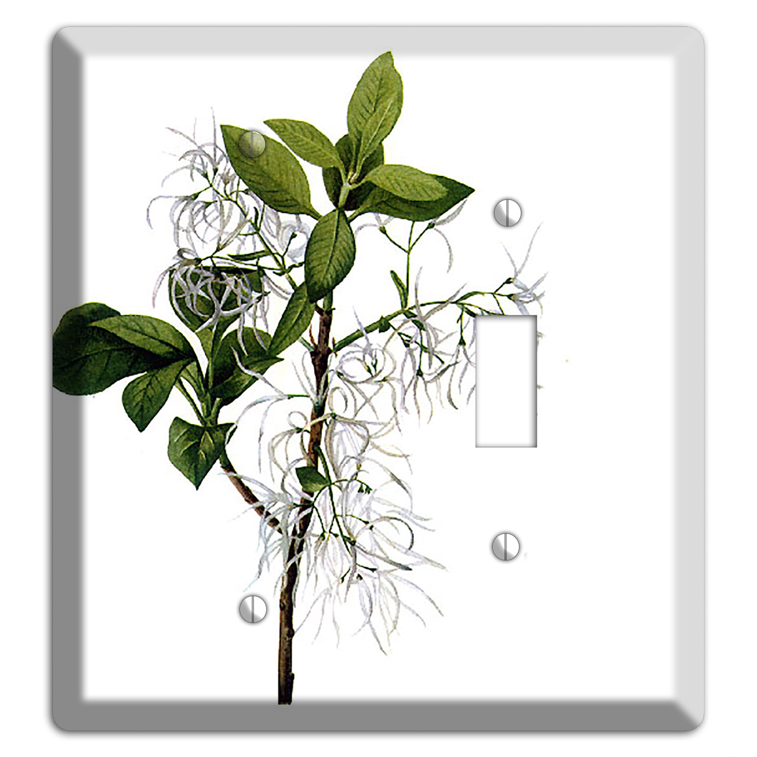 Chionathus Virginiana Blank / Toggle Wallplate