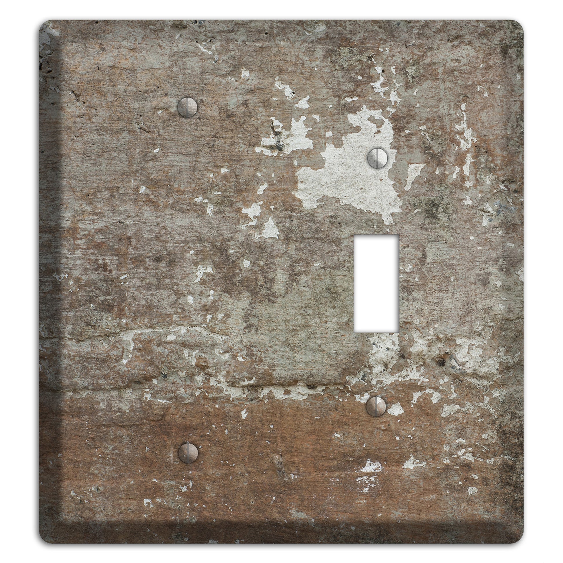 Old Concrete 11 Blank / Toggle Wallplate