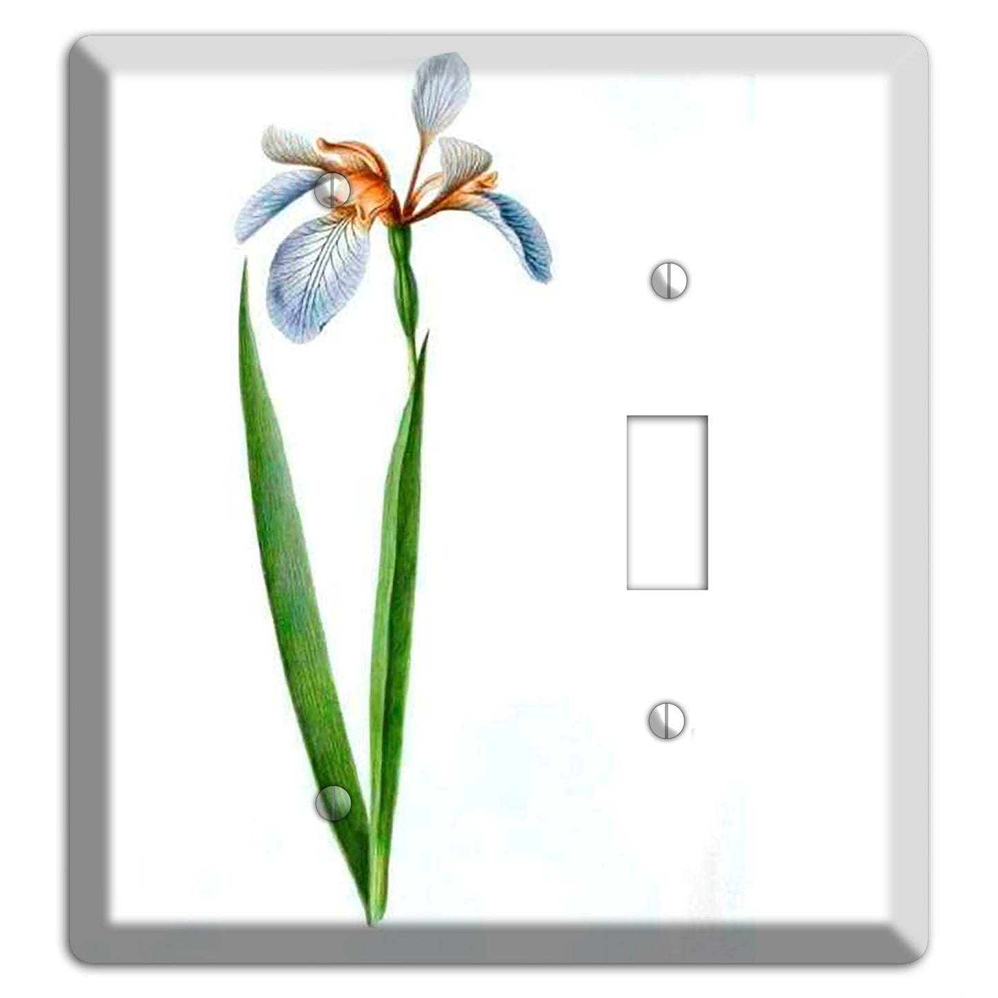 White Iris 2 Blank / Toggle Wallplate