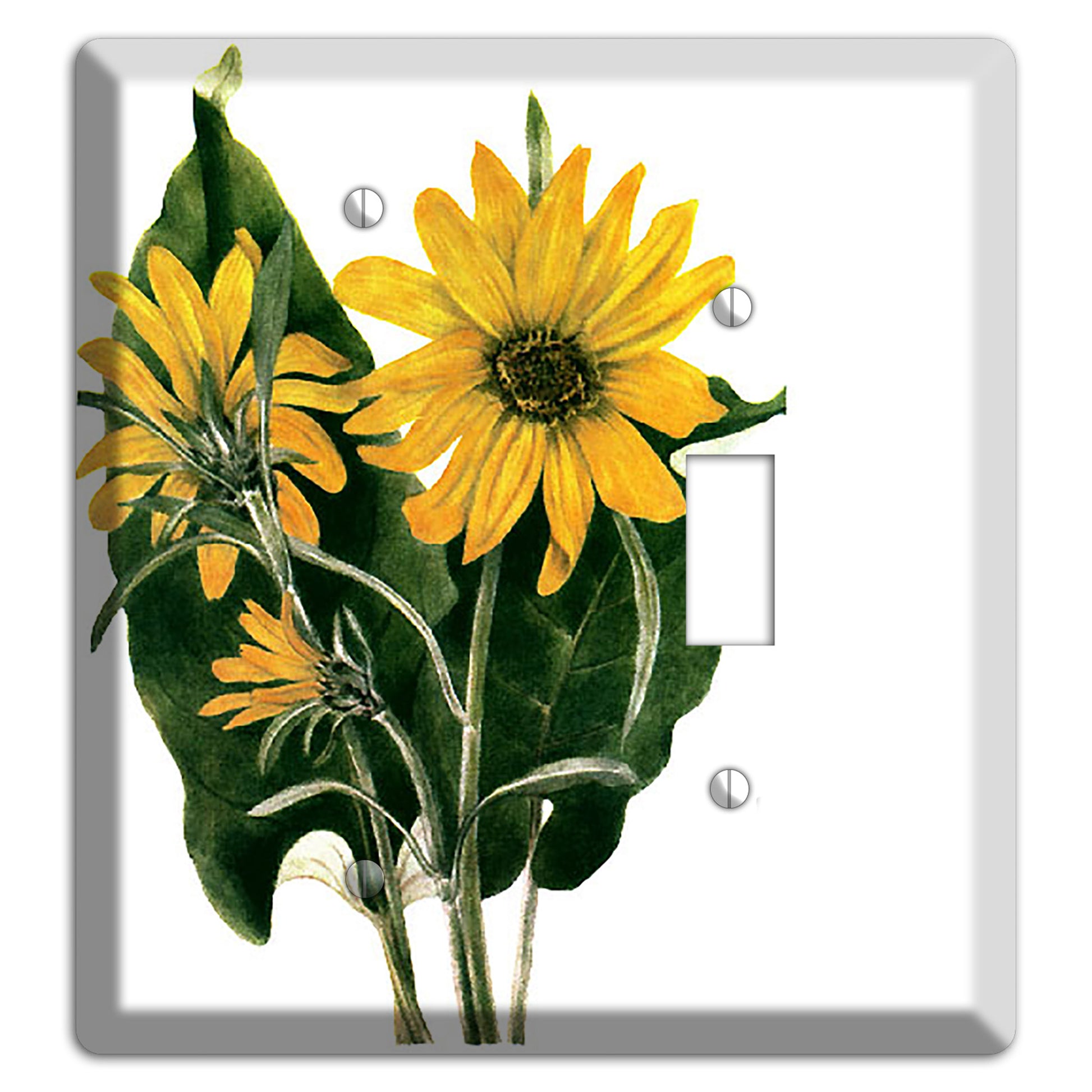 Balsamorhiza Sagittata Blank / Toggle Wallplate