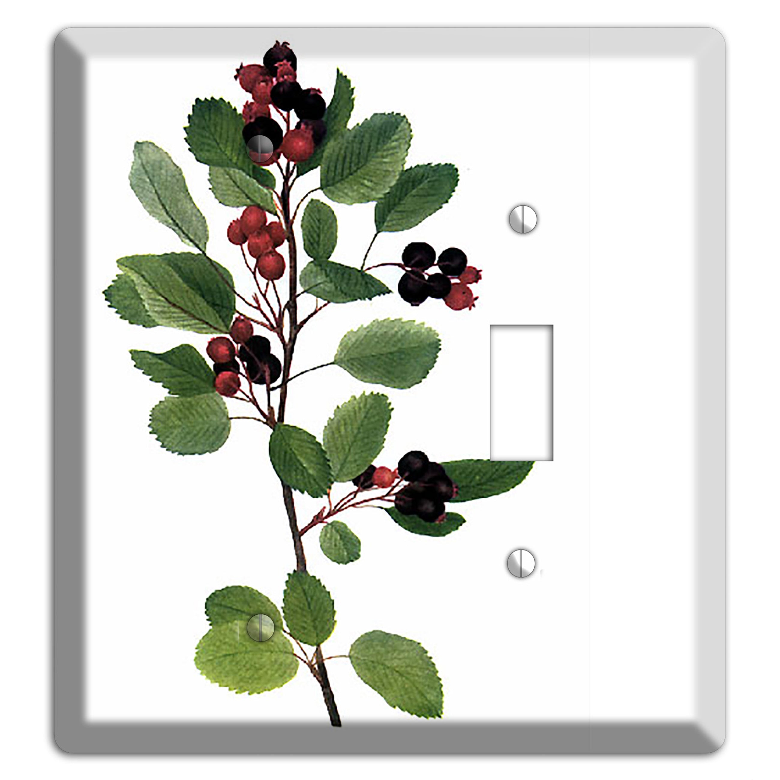 Amelanchier Ainifolia Blank / Toggle Wallplate
