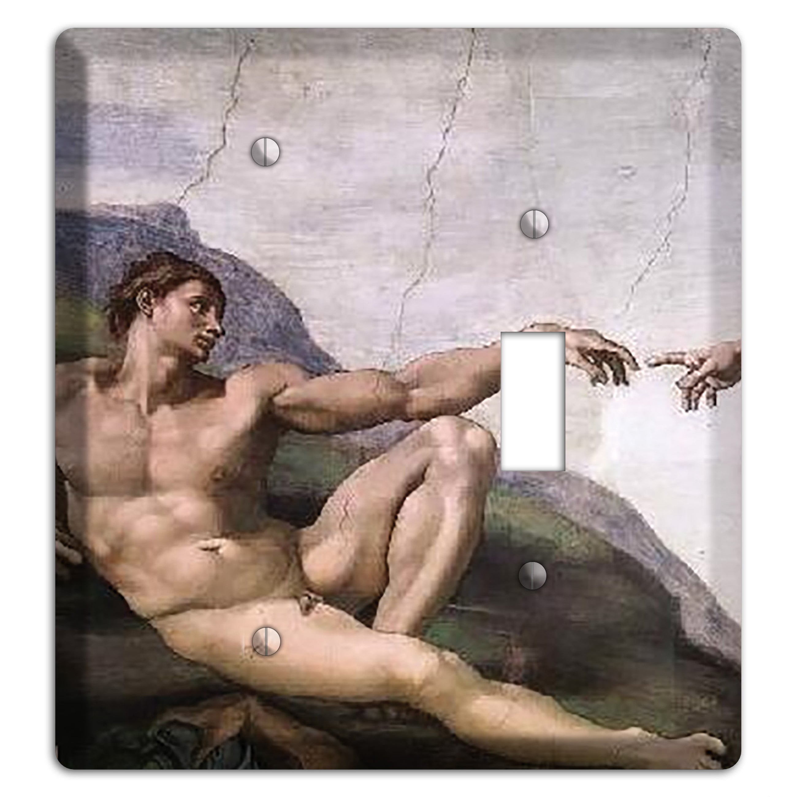 Michelangelo 1 Blank / Toggle Wallplate