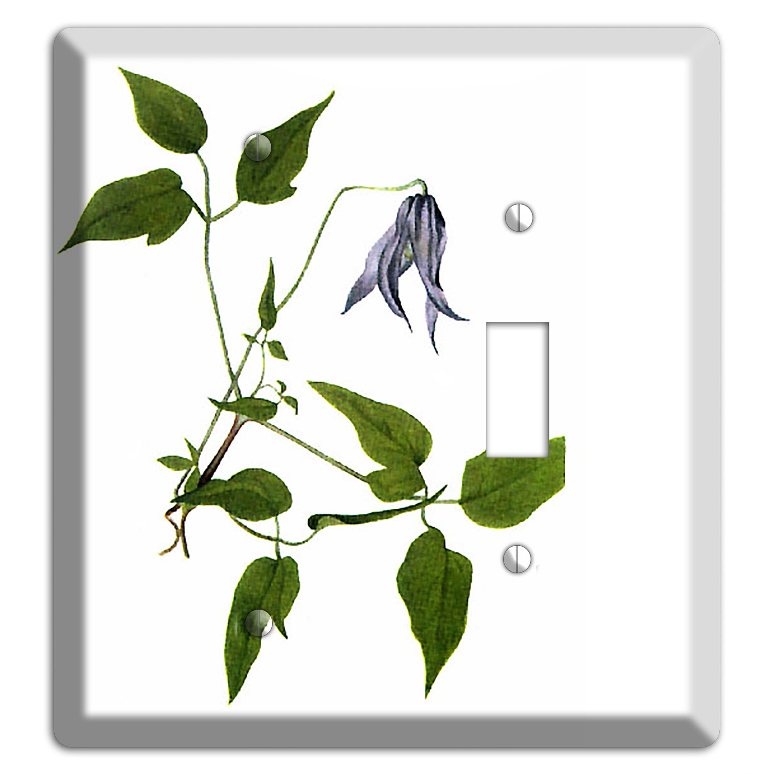 Clematis Columbiana Blank / Toggle Wallplate