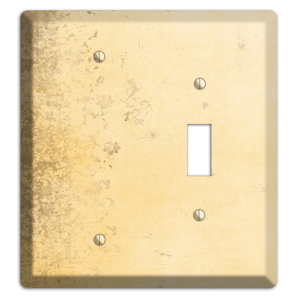 Astra Vintage Grunge Blank / Toggle Wallplate