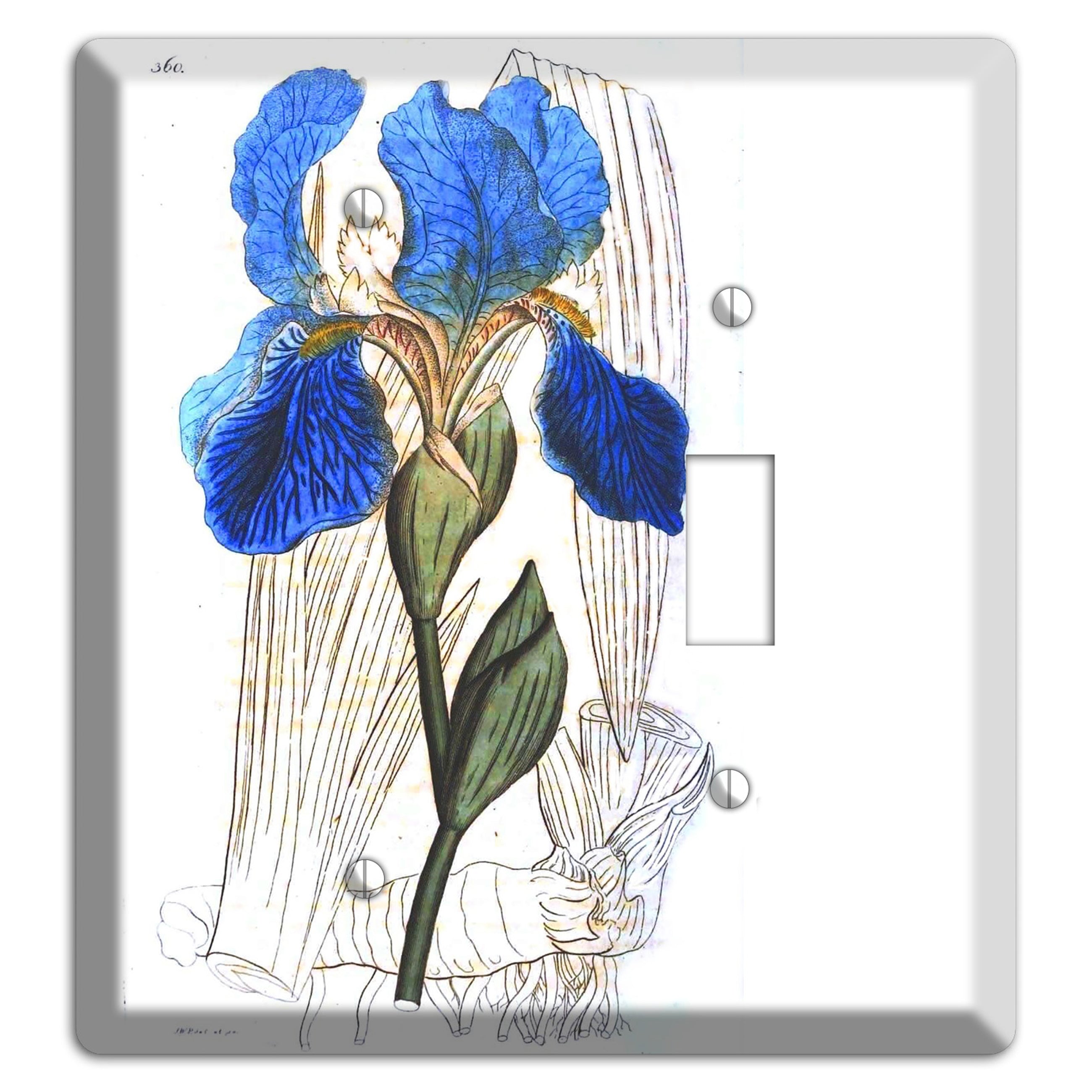 Blue Iris Blank / Toggle Wallplate
