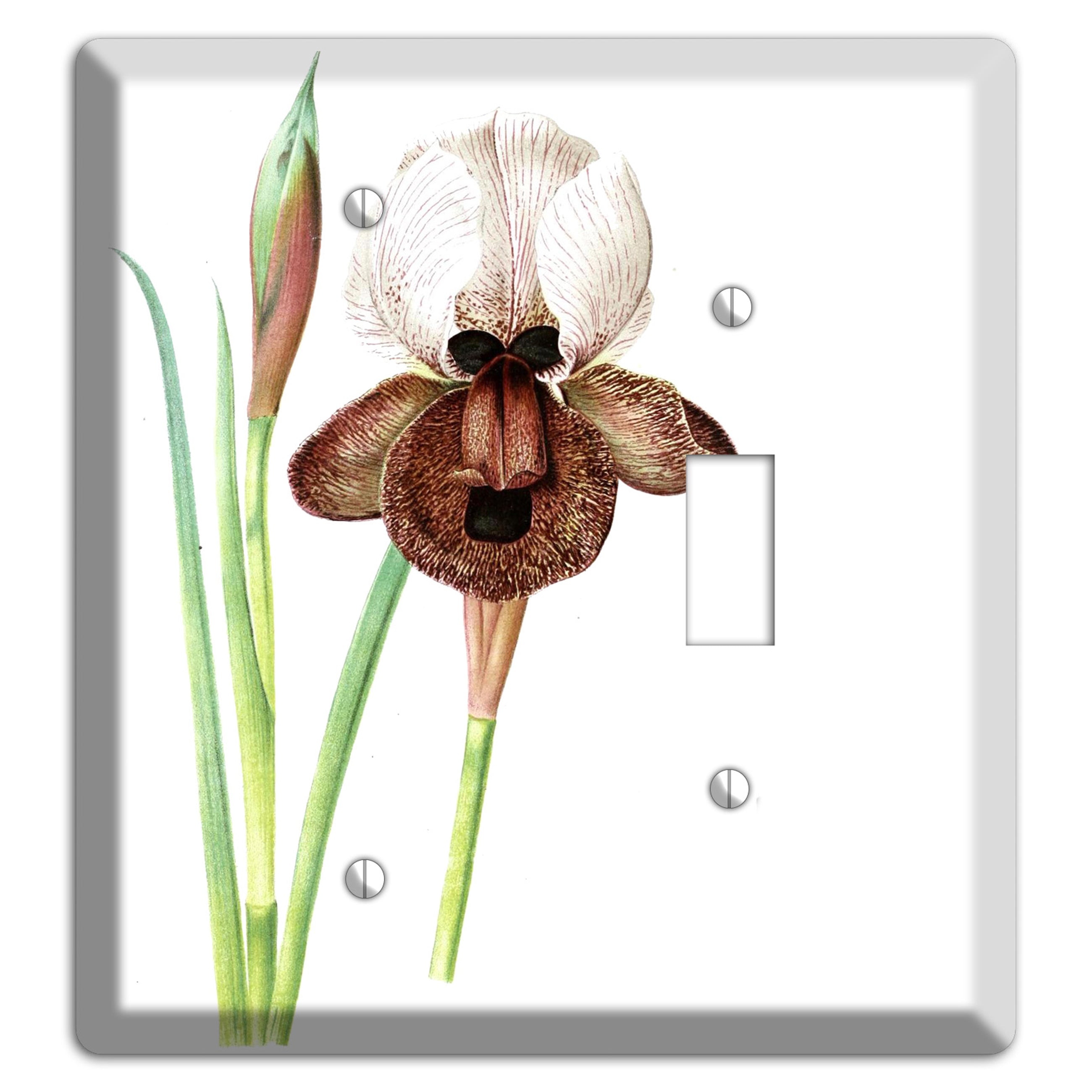 White iris Blank / Toggle Wallplate