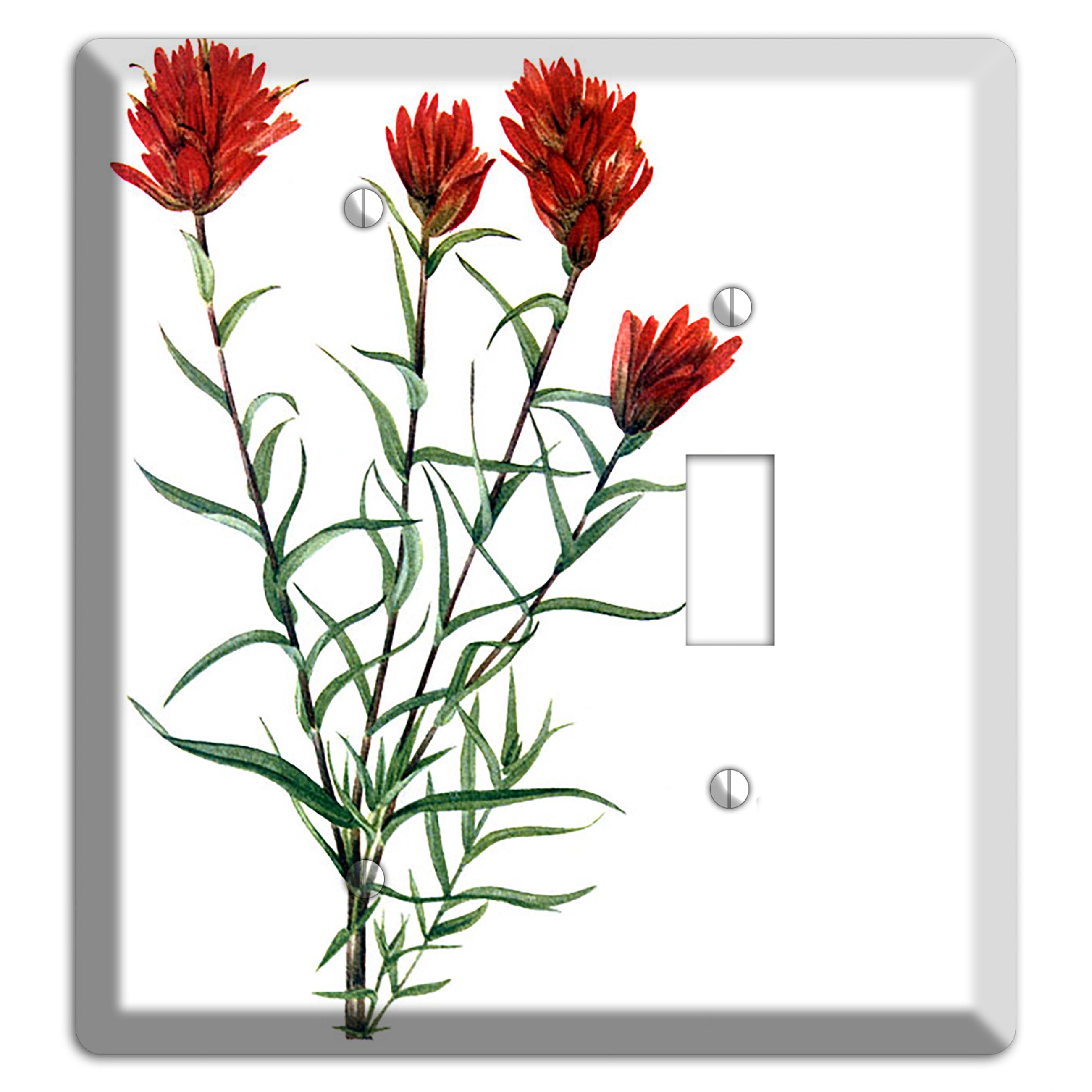 Castilleja Linarifolia Blank / Toggle Wallplate
