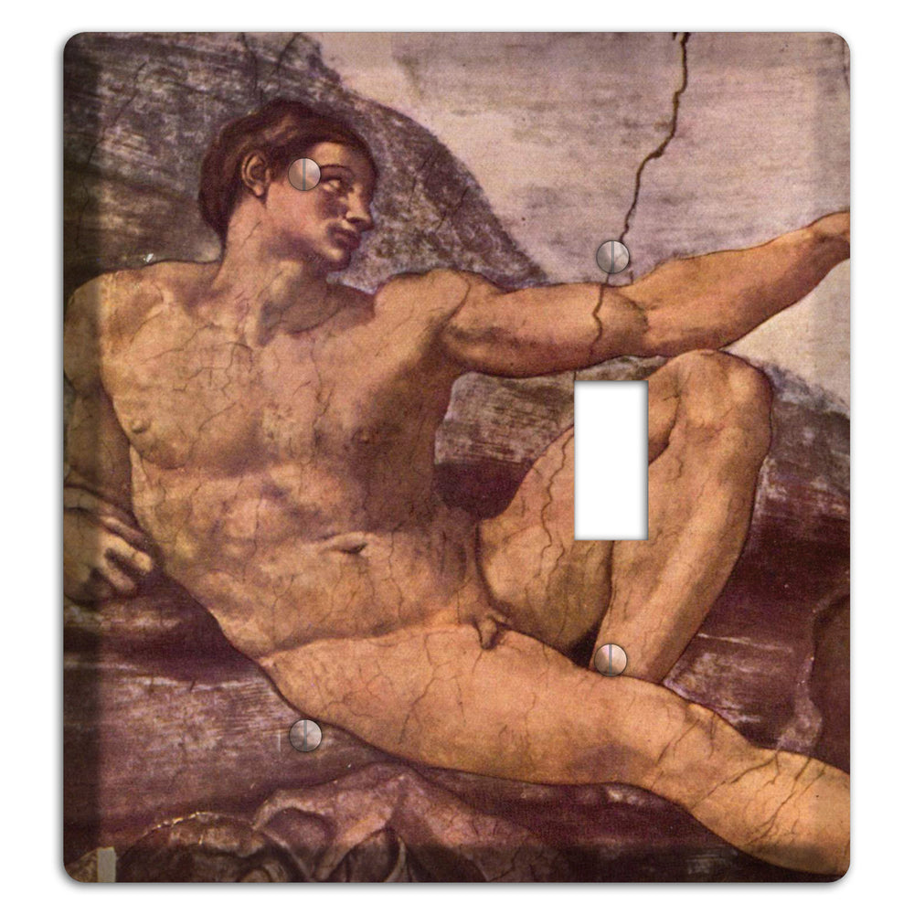 Michelangelo 2 Blank / Toggle Wallplate
