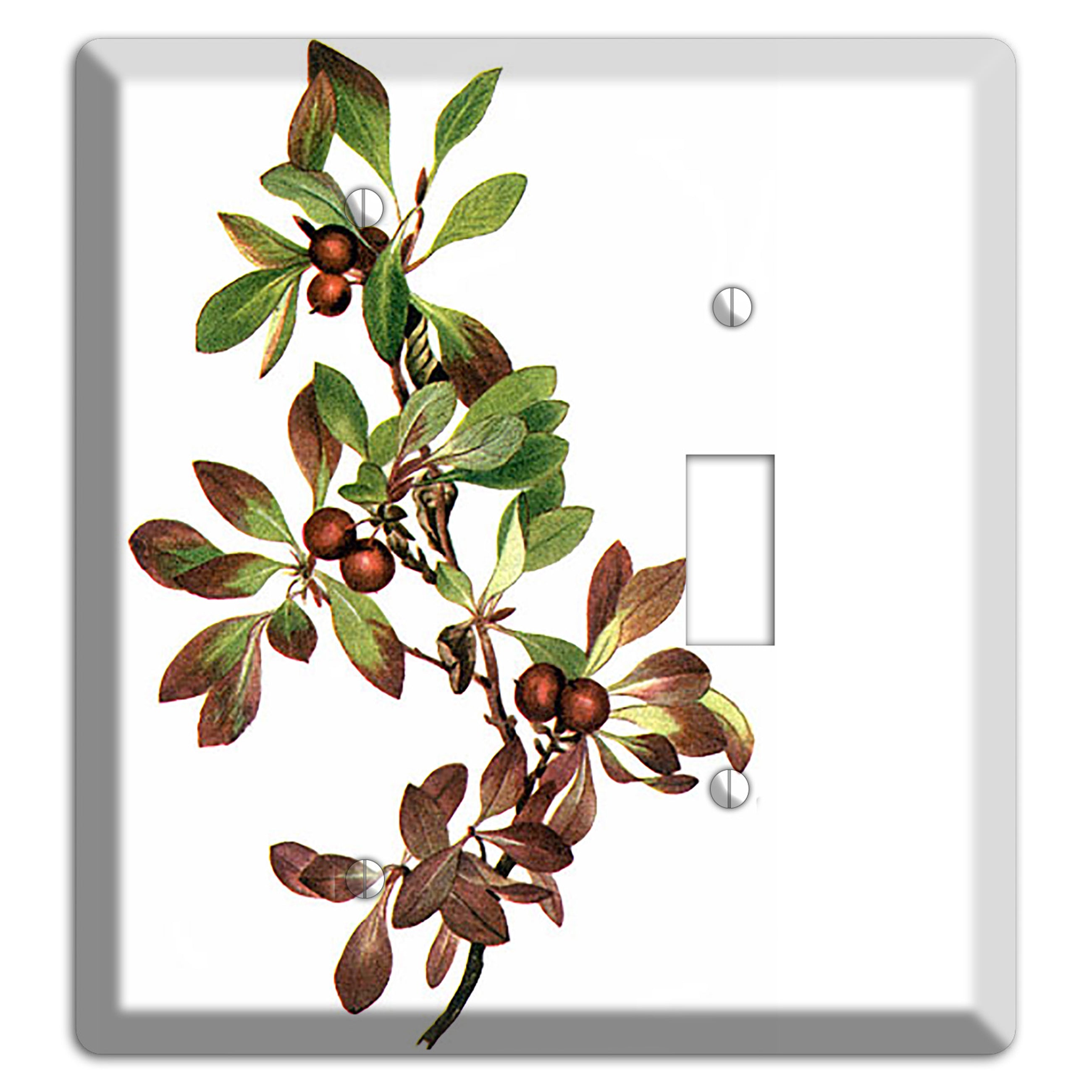 Arietustaphylos Alpha Blank / Toggle Wallplate