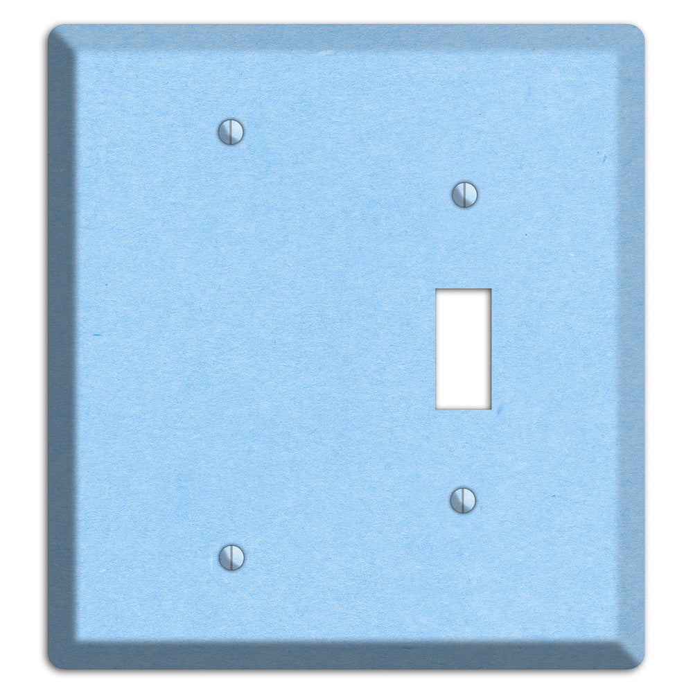 Light Sky Blue Kraft Blank / Toggle Wallplate