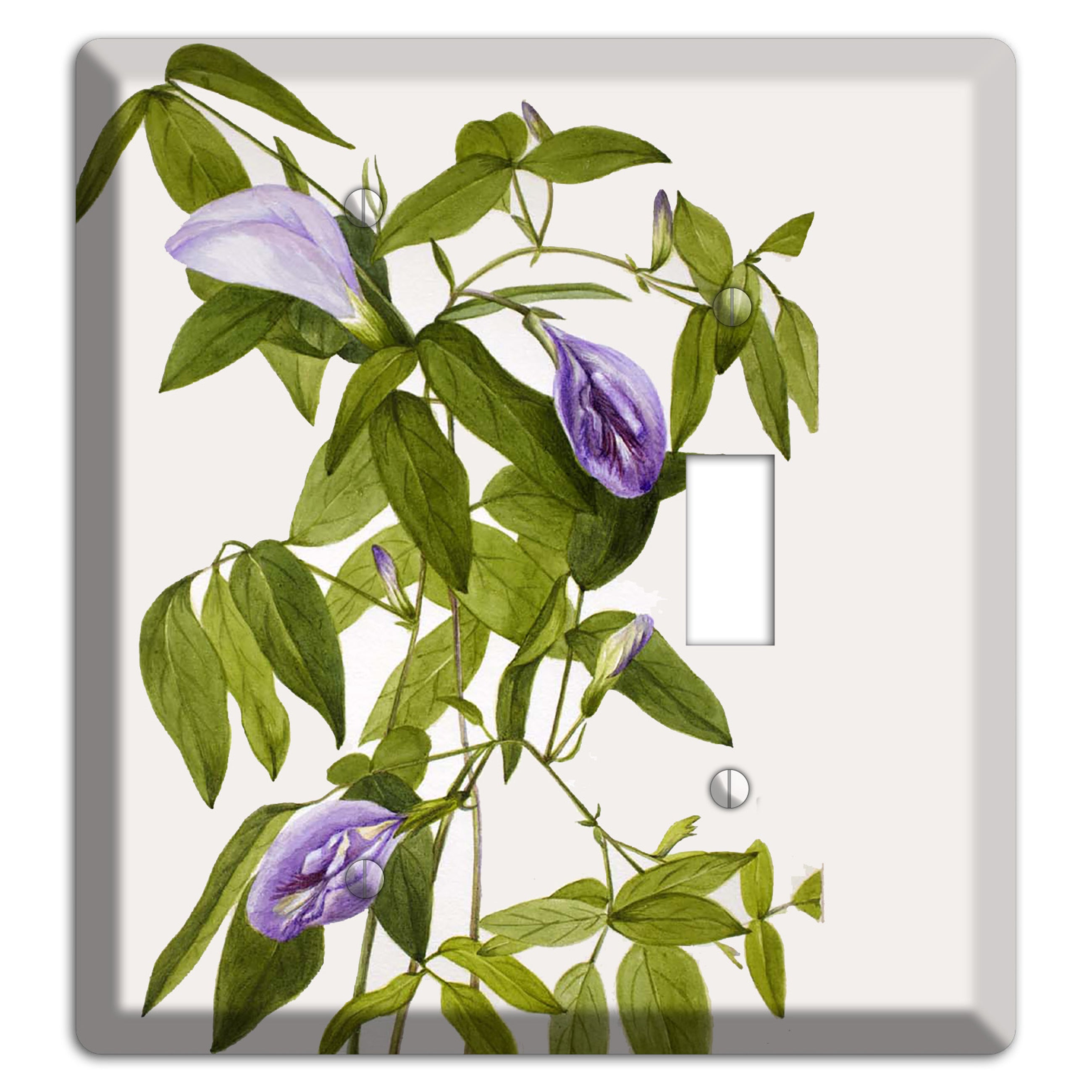 Clitoria Mariana Blank / Toggle Wallplate