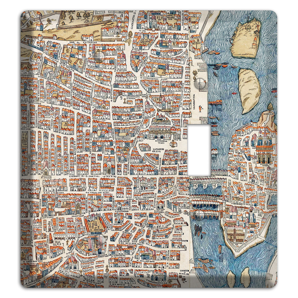 Aerial View Blank / Toggle Wallplate