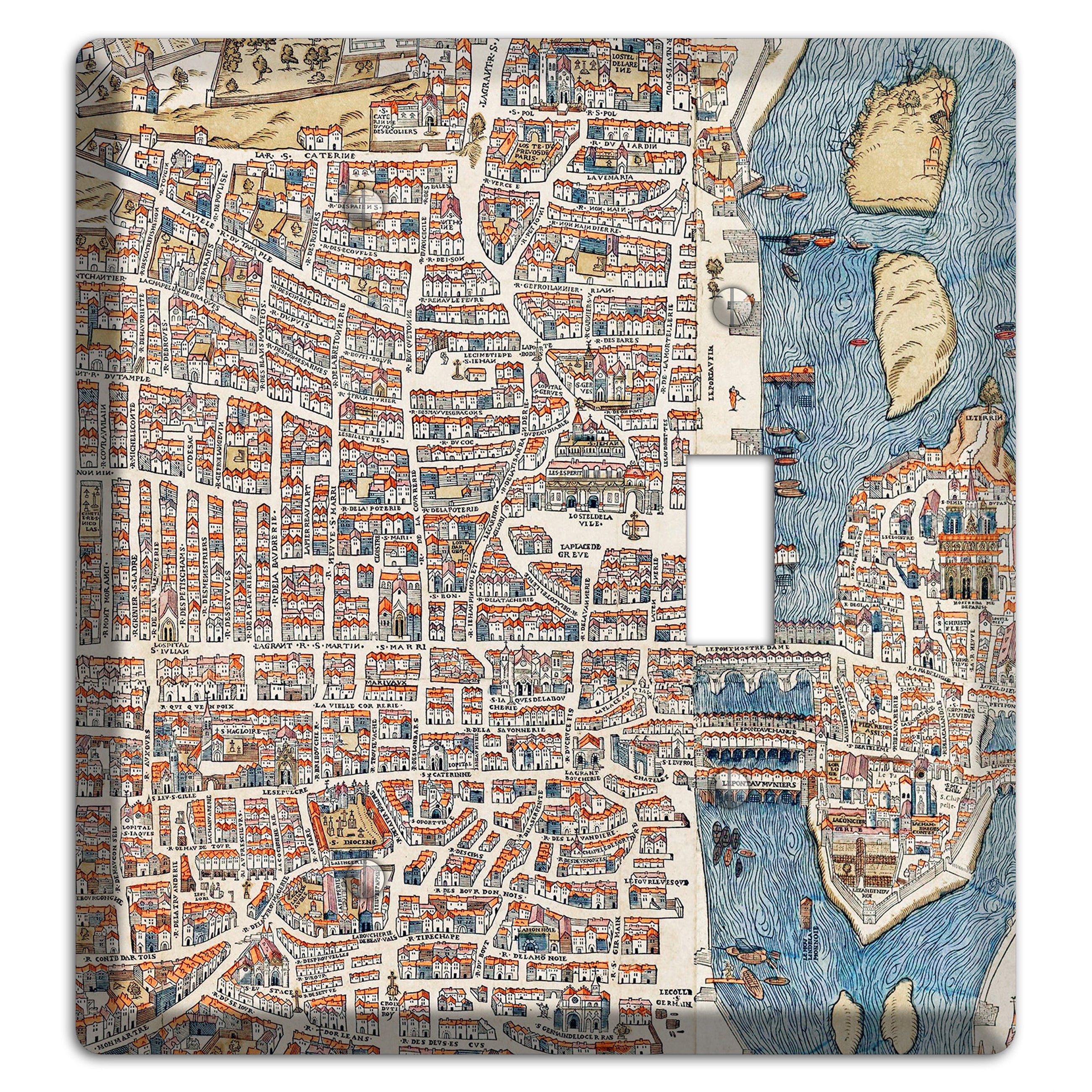 Aerial View Blank / Toggle Wallplate