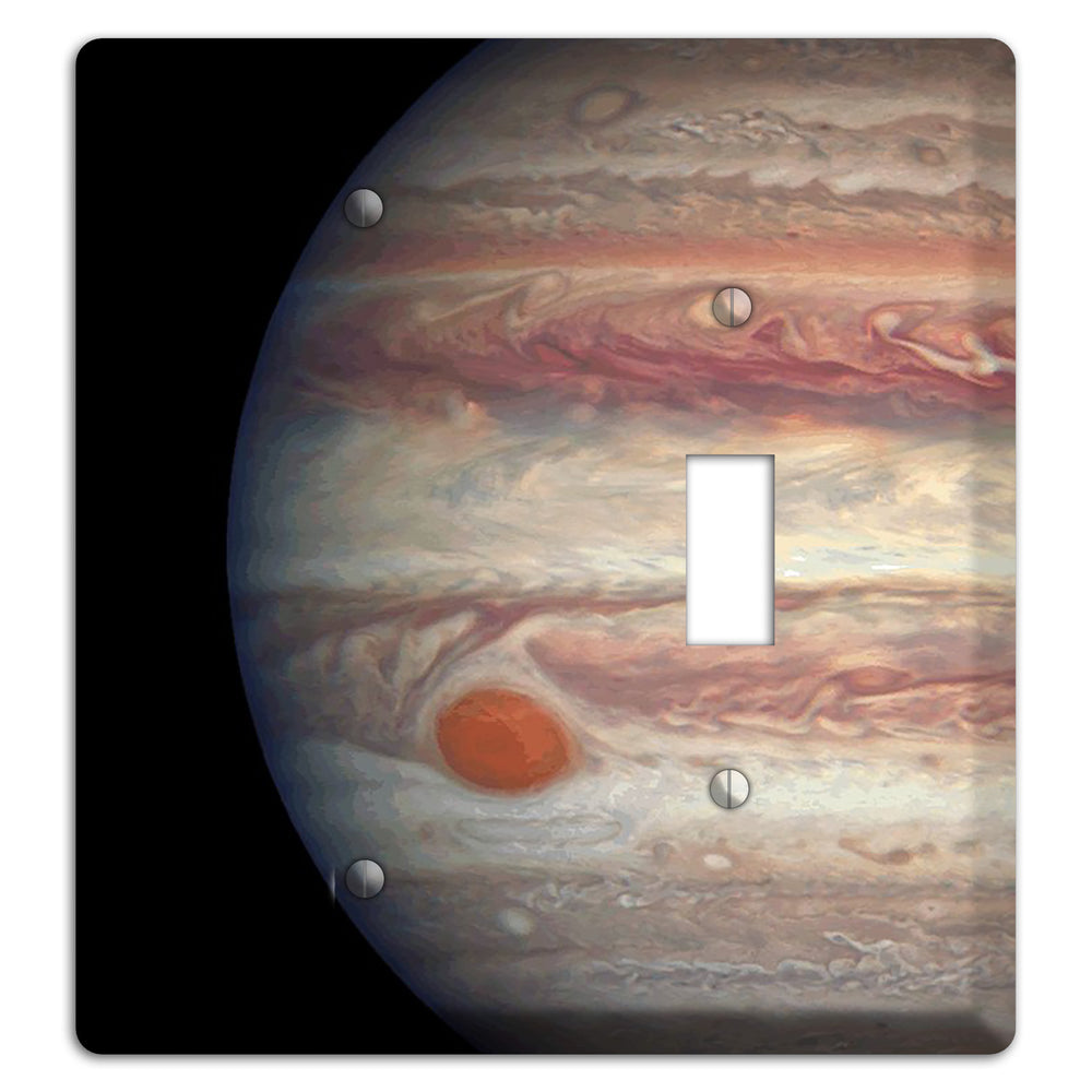 Jupiter's Blank / Toggle Wallplate