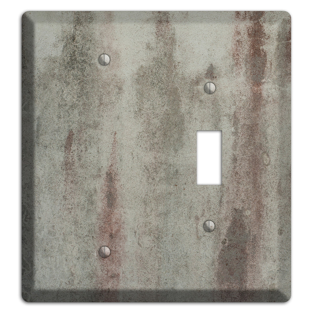 Old Concrete 15 Blank / Toggle Wallplate