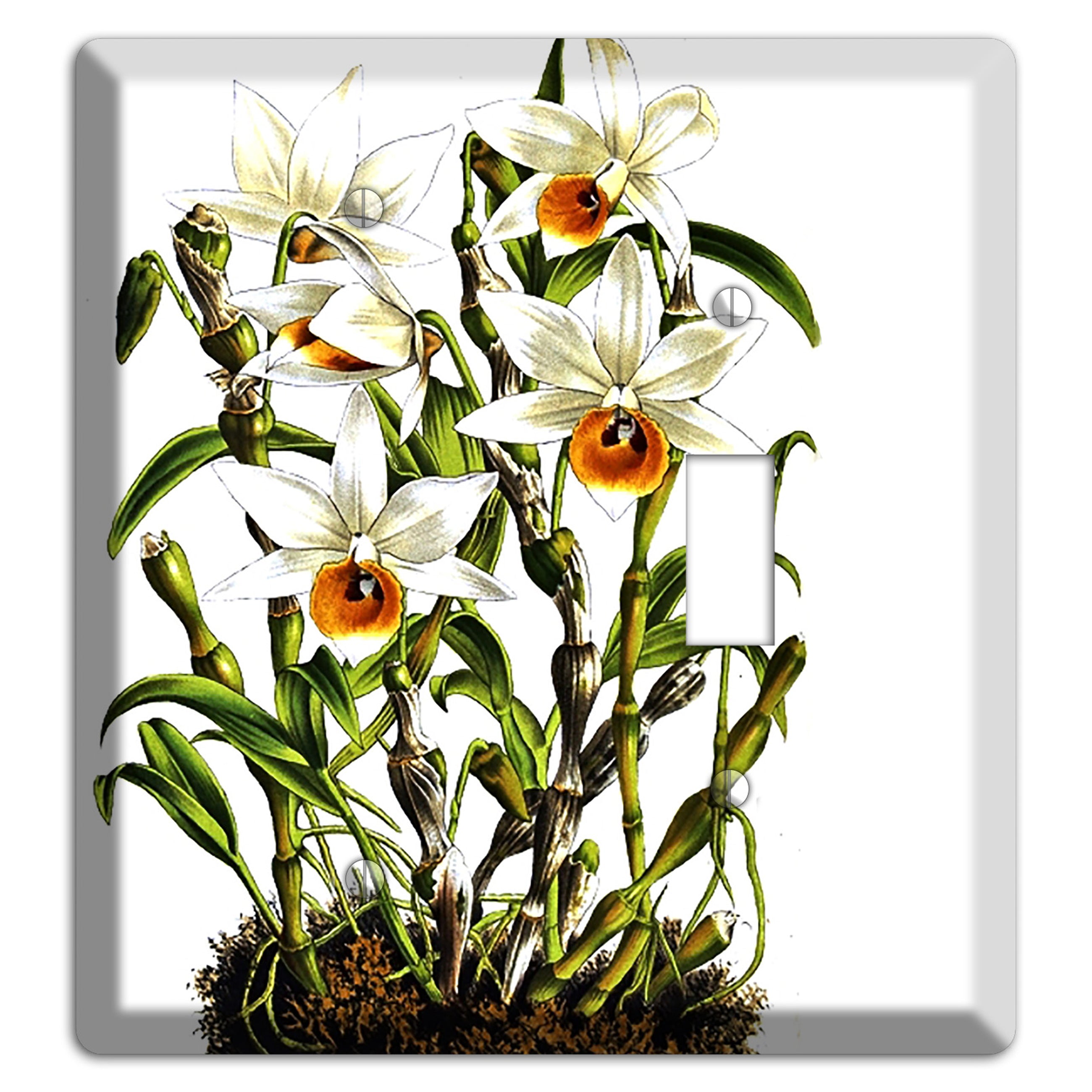 Dendrobium Blank / Toggle Wallplate