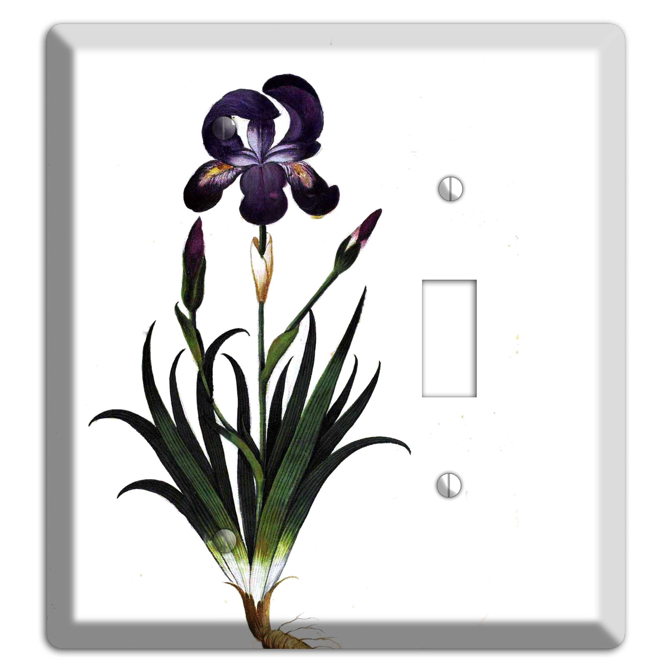 Carnation Blank / Toggle Wallplate