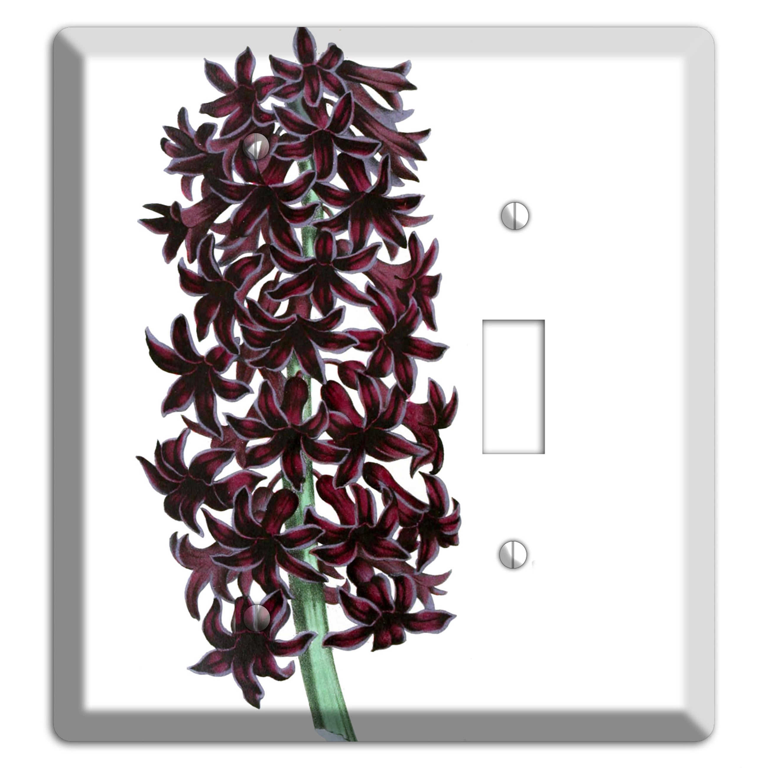 Jacinth Blank / Toggle Wallplate
