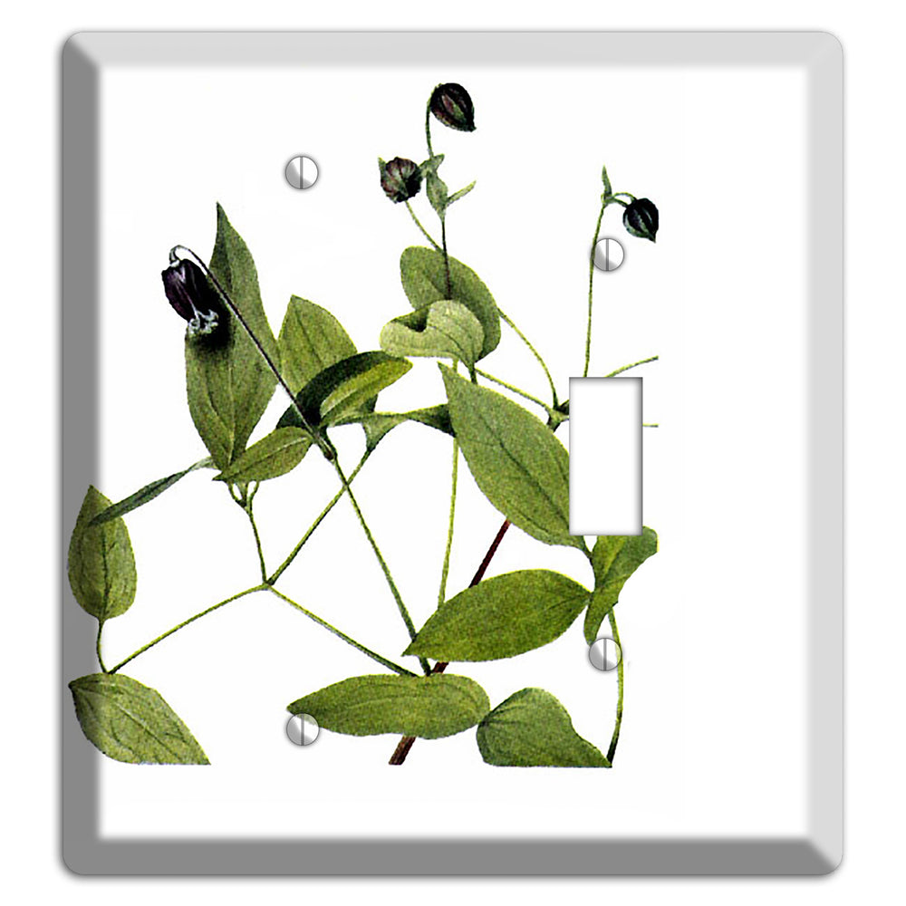 Clematis Viorna Blank / Toggle Wallplate