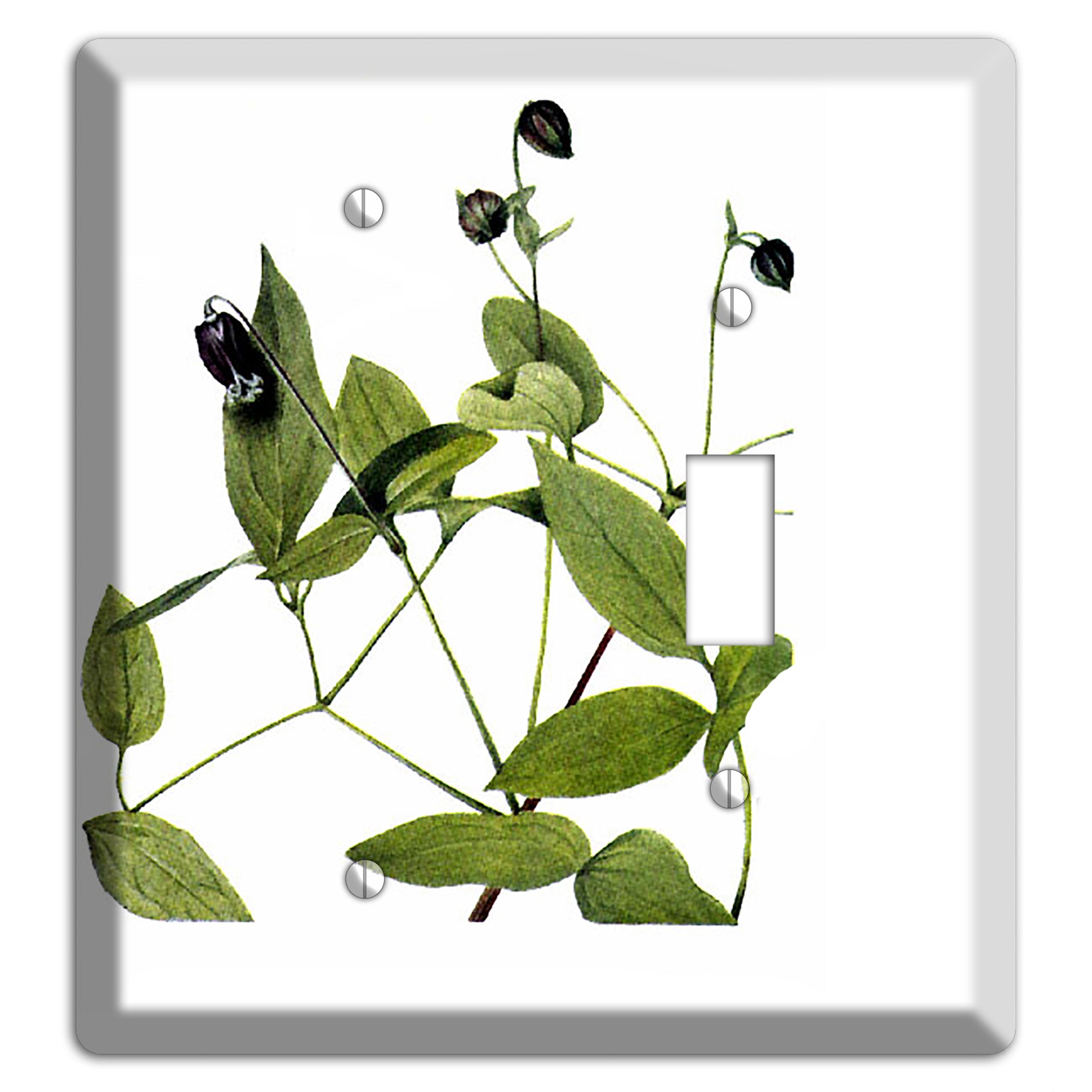 Clematis Viorna Blank / Toggle Wallplate