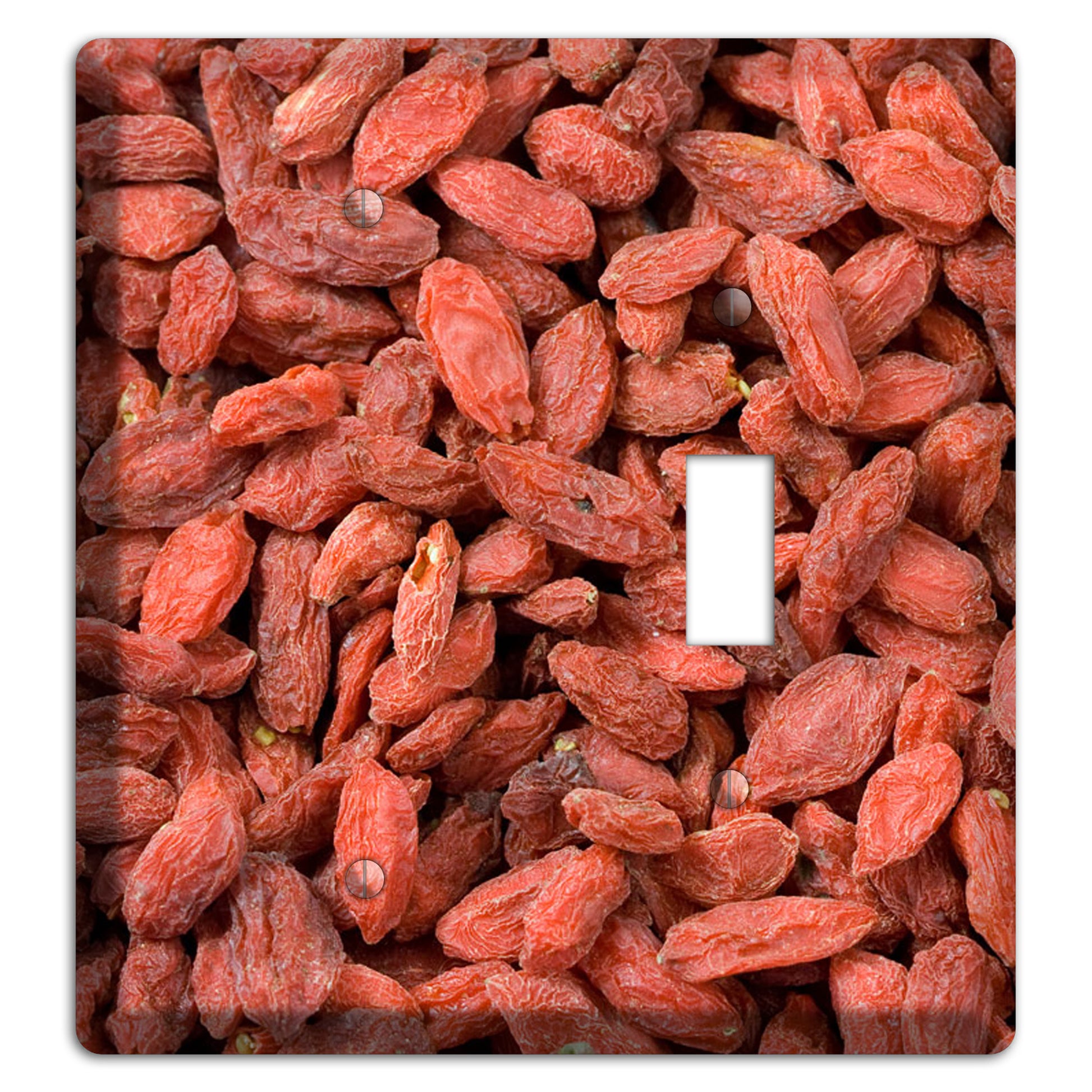 Goji Berries Blank / Toggle Wallplate