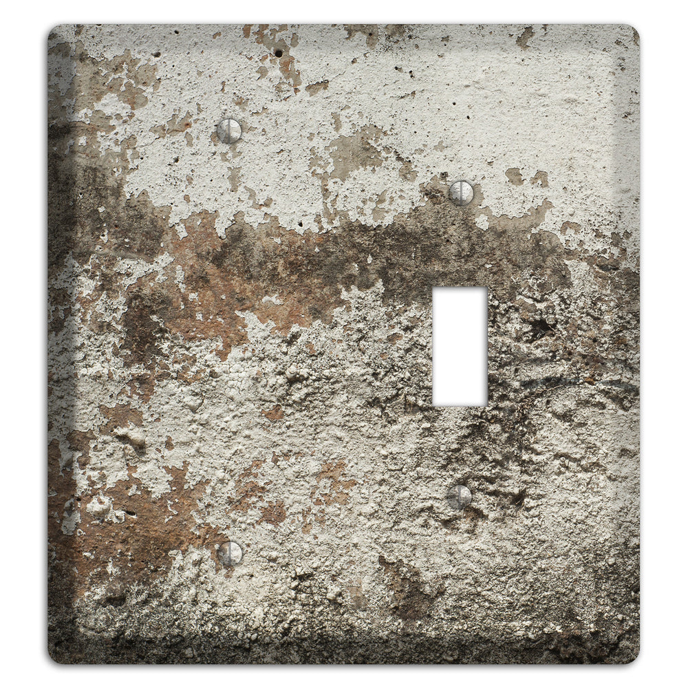 Old Concrete 12 Blank / Toggle Wallplate