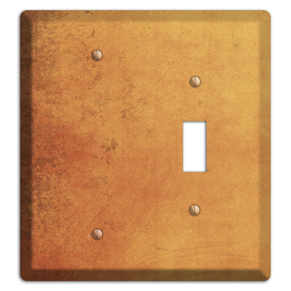 Di Sierra Vintage Grunge Blank / Toggle Wallplate
