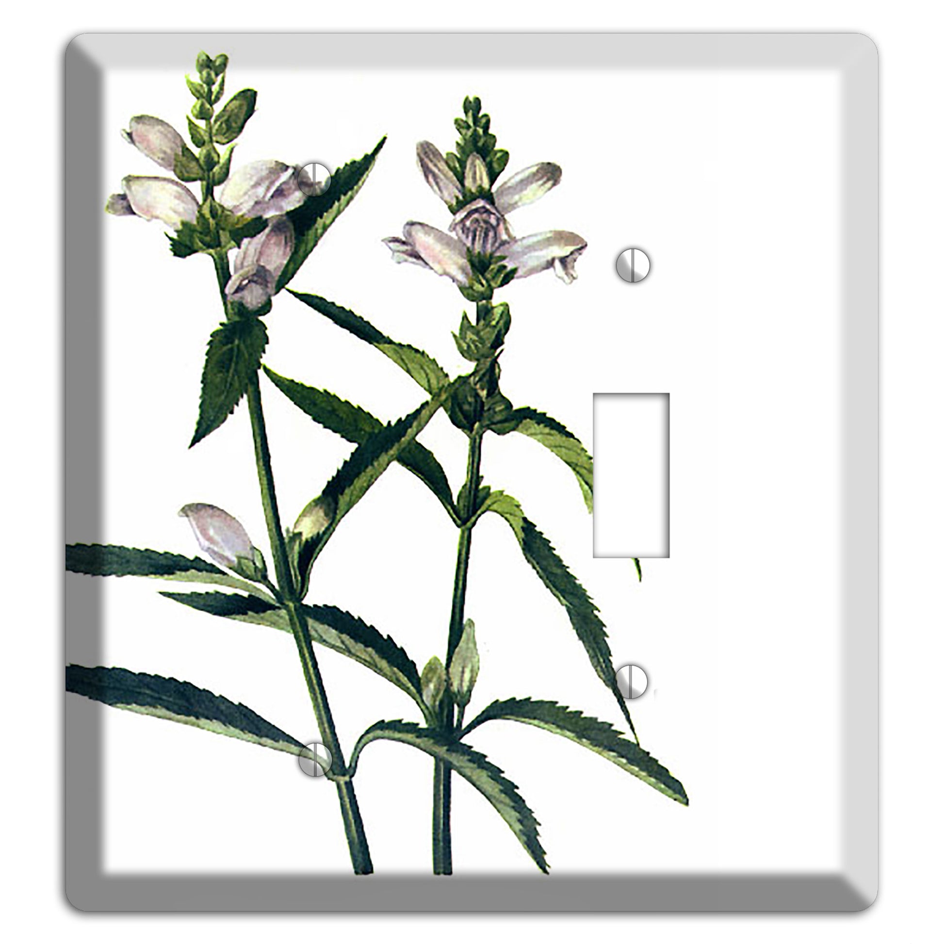 Chelone Glabra Blank / Toggle Wallplate