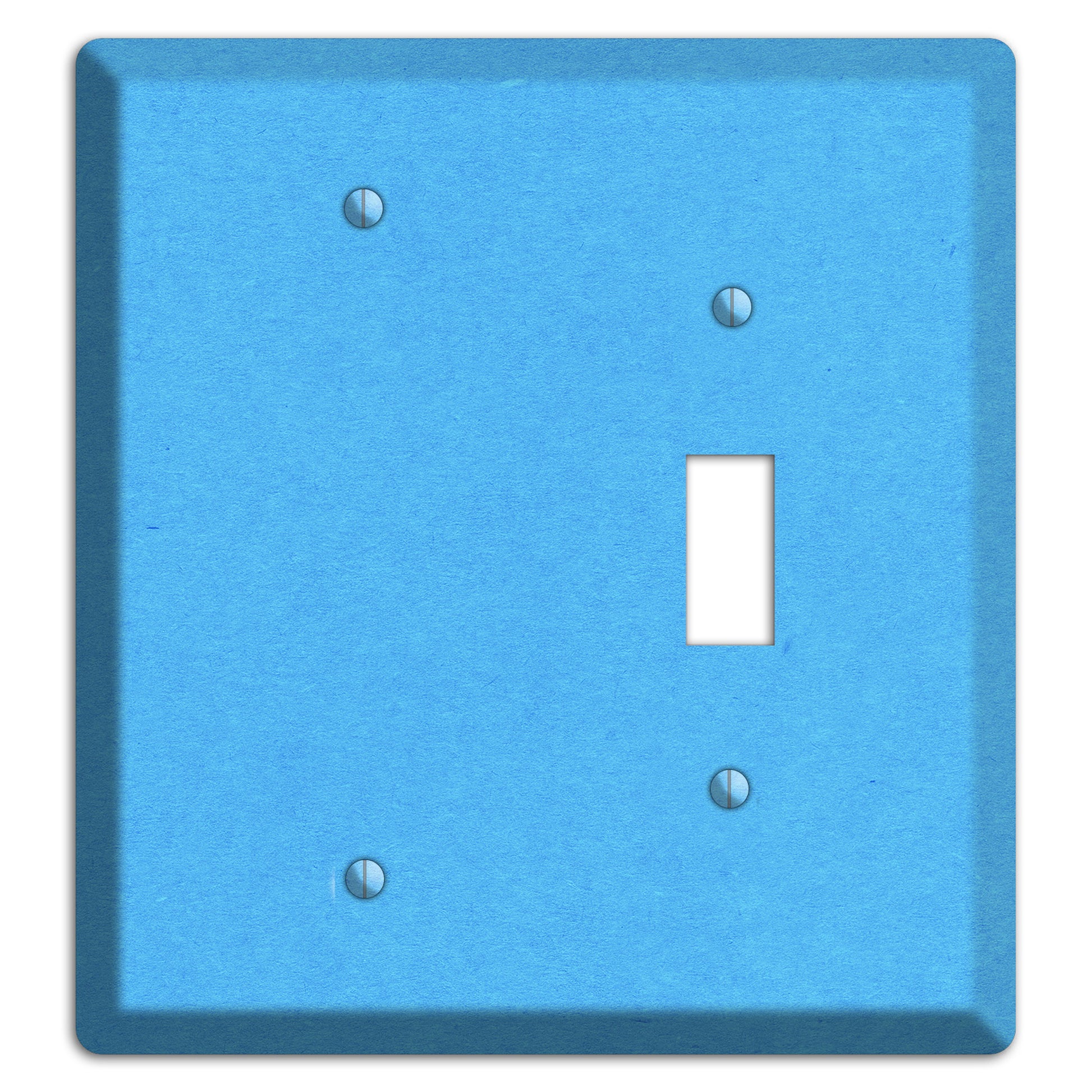 Maya Blue Kraft Blank / Toggle Wallplate