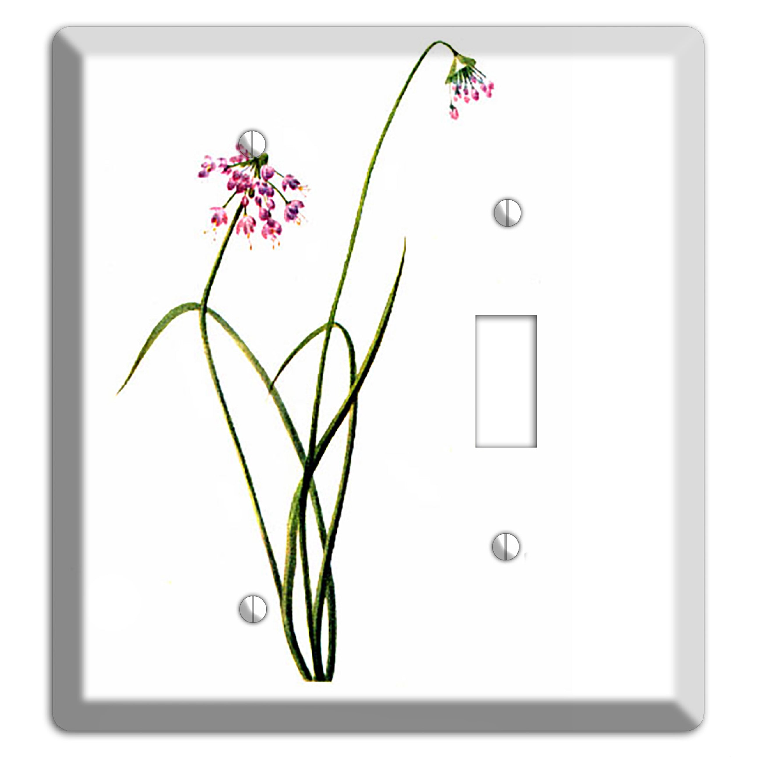 Allium Cernum Blank / Toggle Wallplate