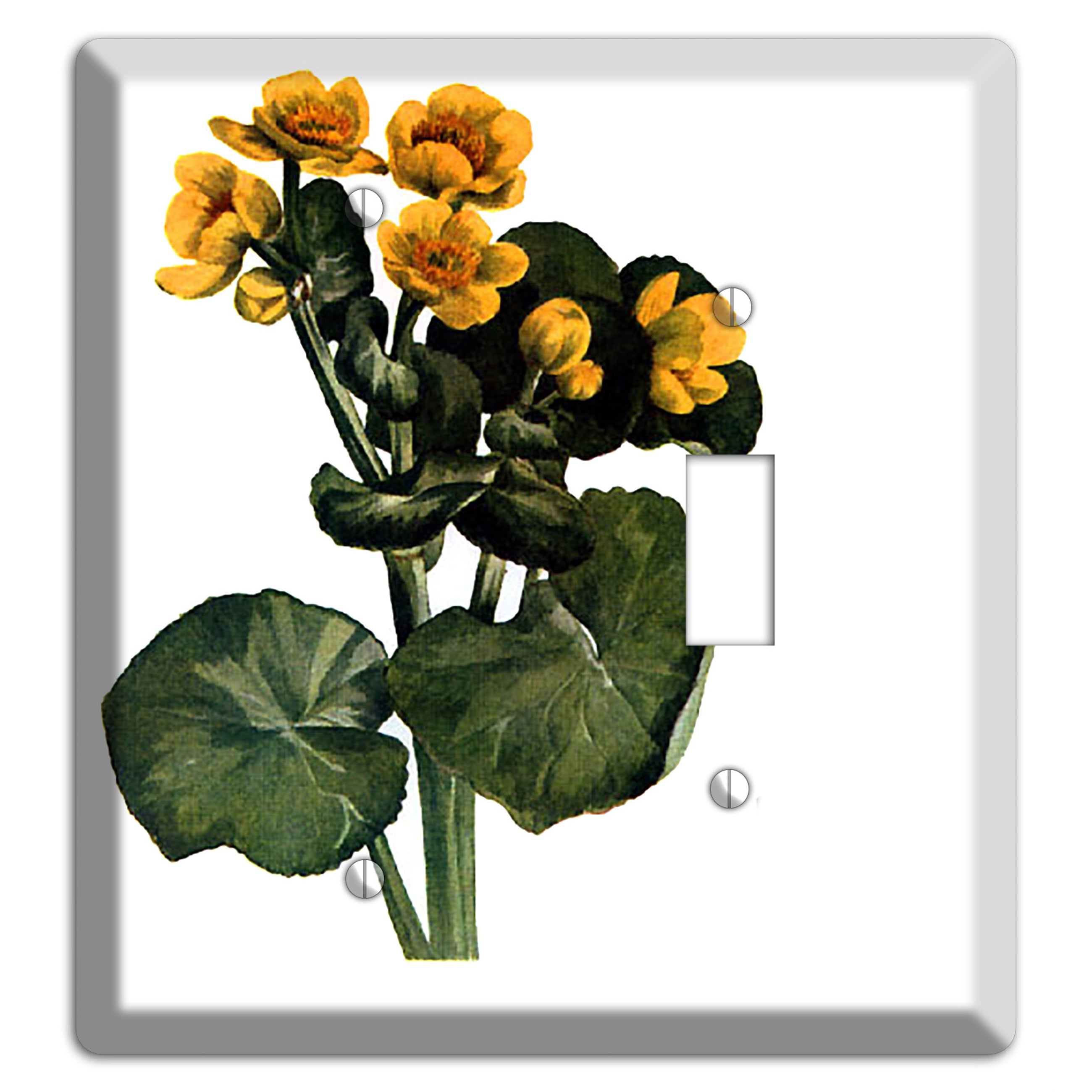 Calla Palustrie 2 Blank / Toggle Wallplate