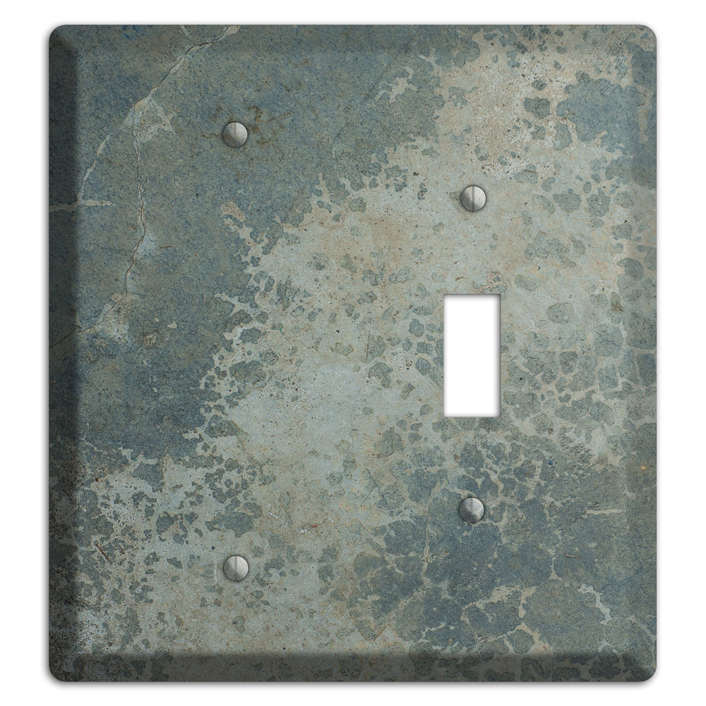Old Concrete 9 Blank / Toggle Wallplate