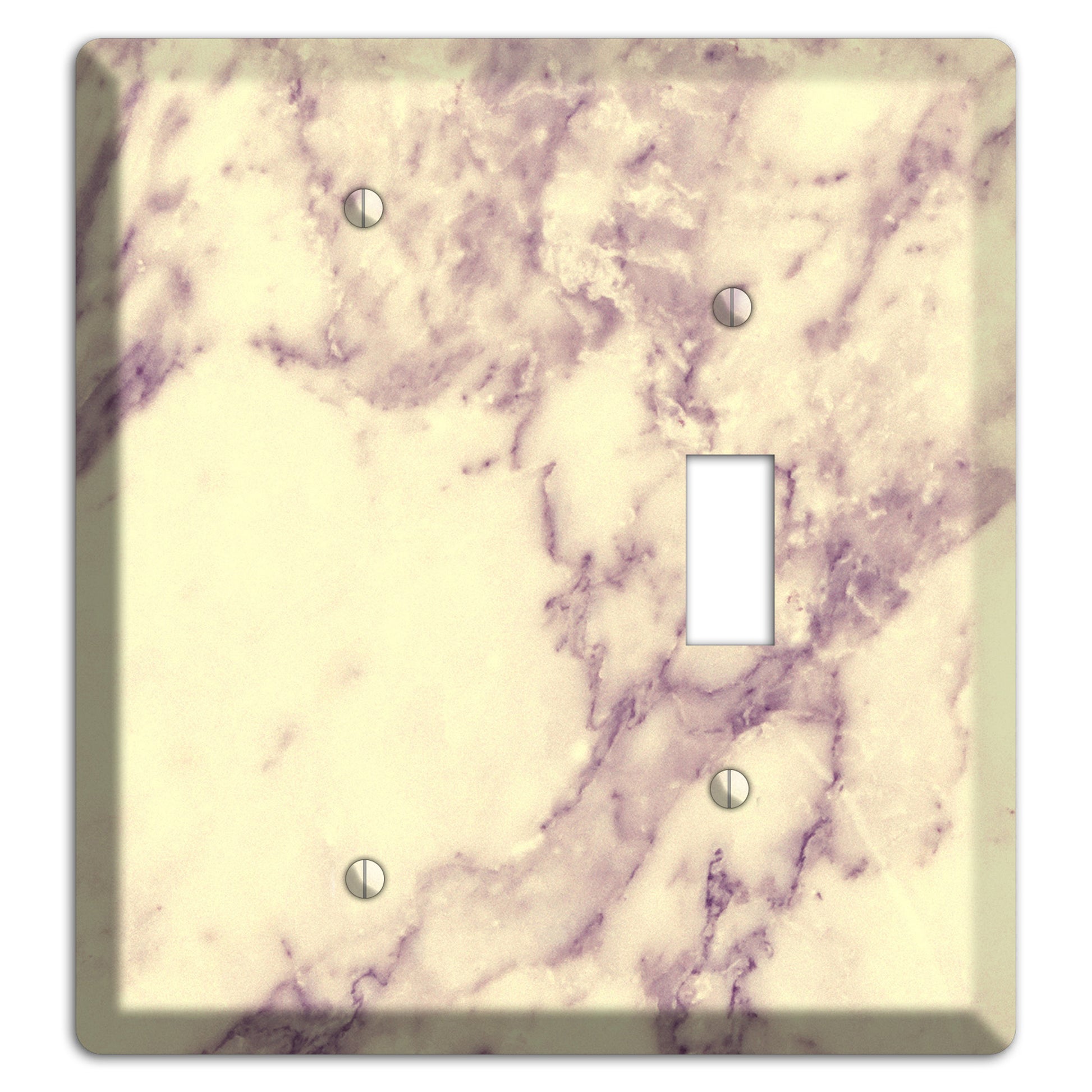 Champagne Marble Blank / Toggle Wallplate